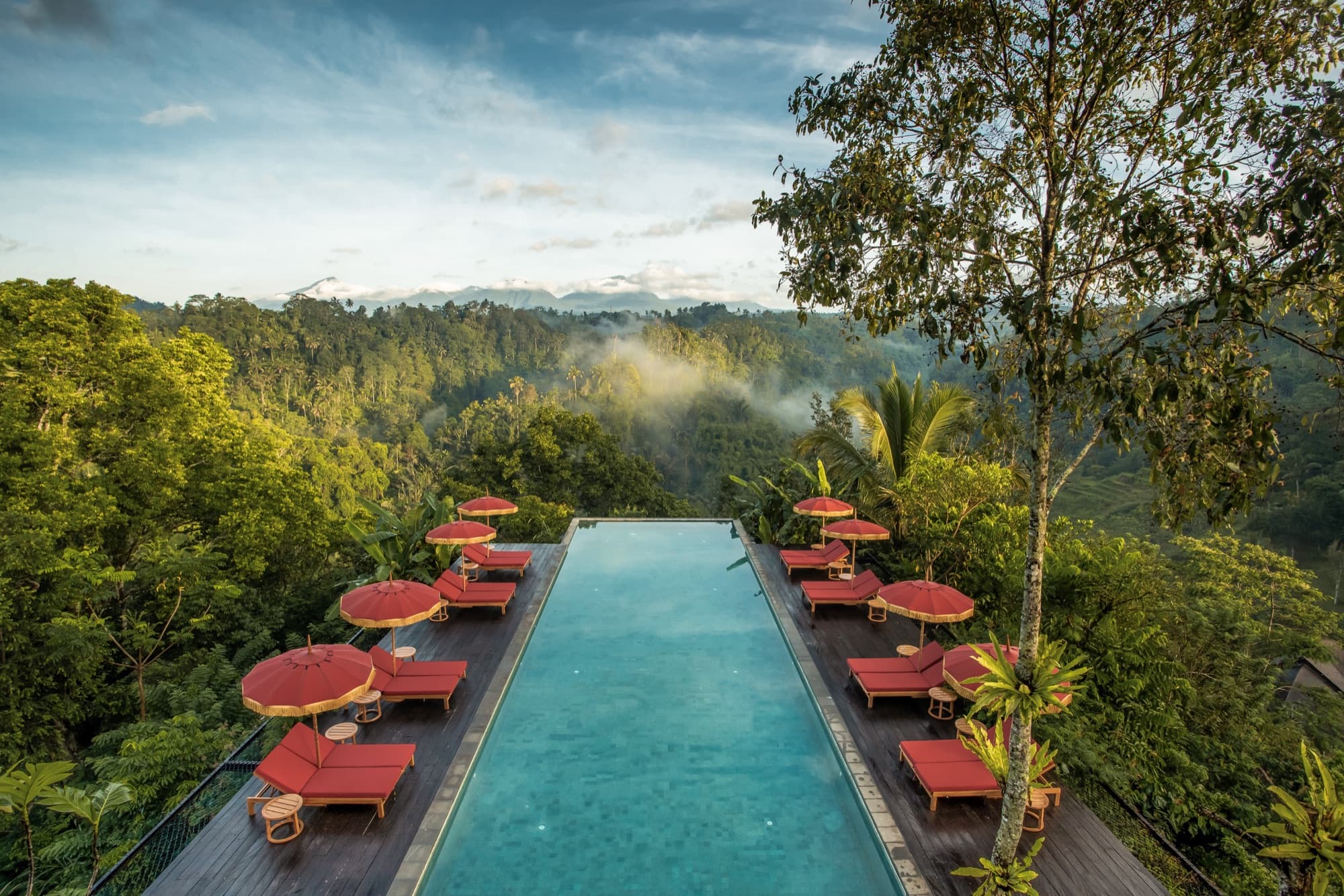Infinity pool overlooking the Ayung River gorge and jungle canopy