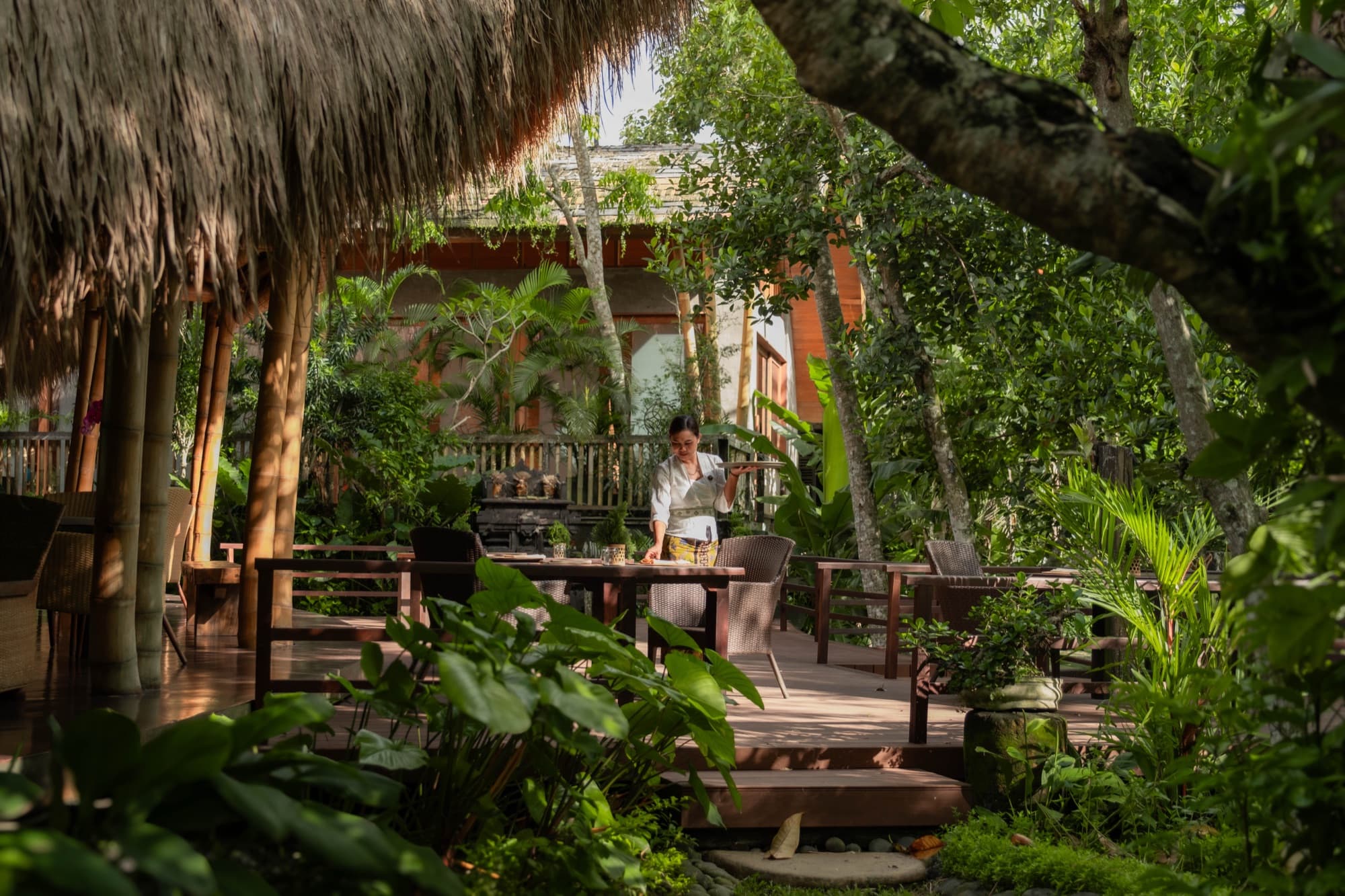 Open-air dining terrace surrounded by palm trees