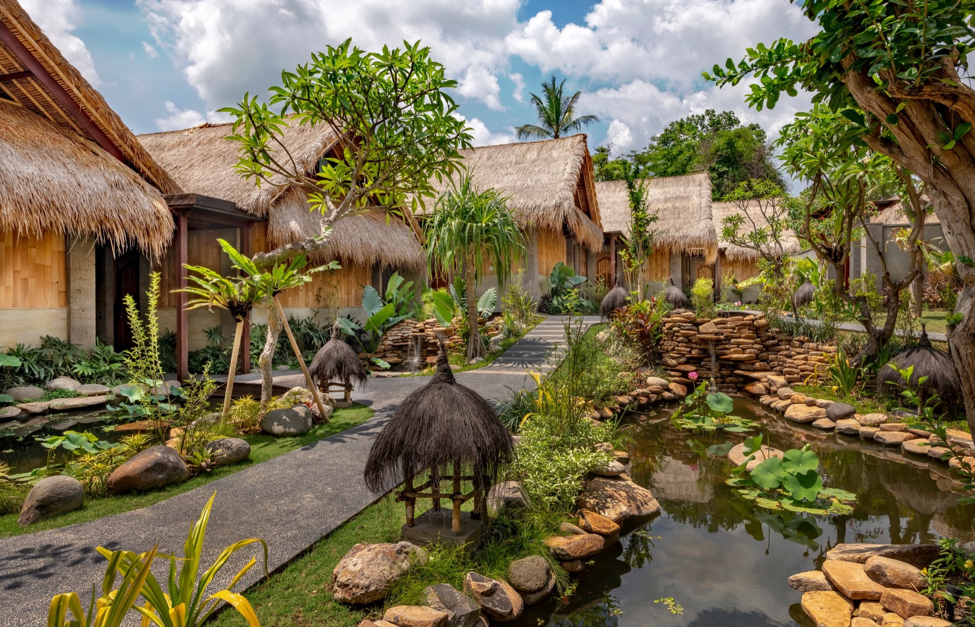 Garden walkway between bamboo suites with lotus pond