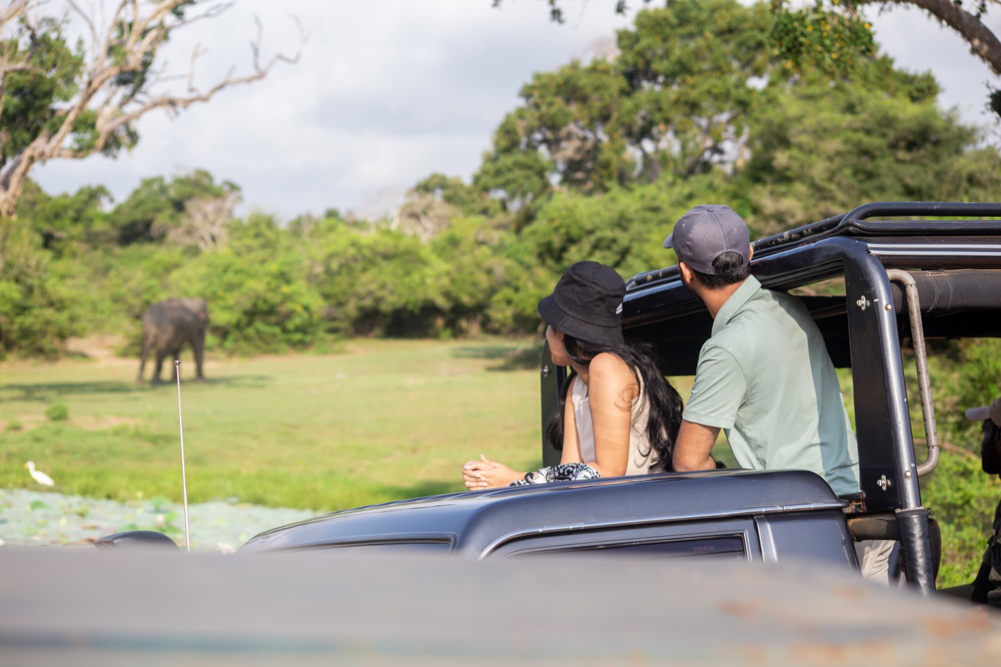 Couple in a safari jeep watching an elephant across the savannah