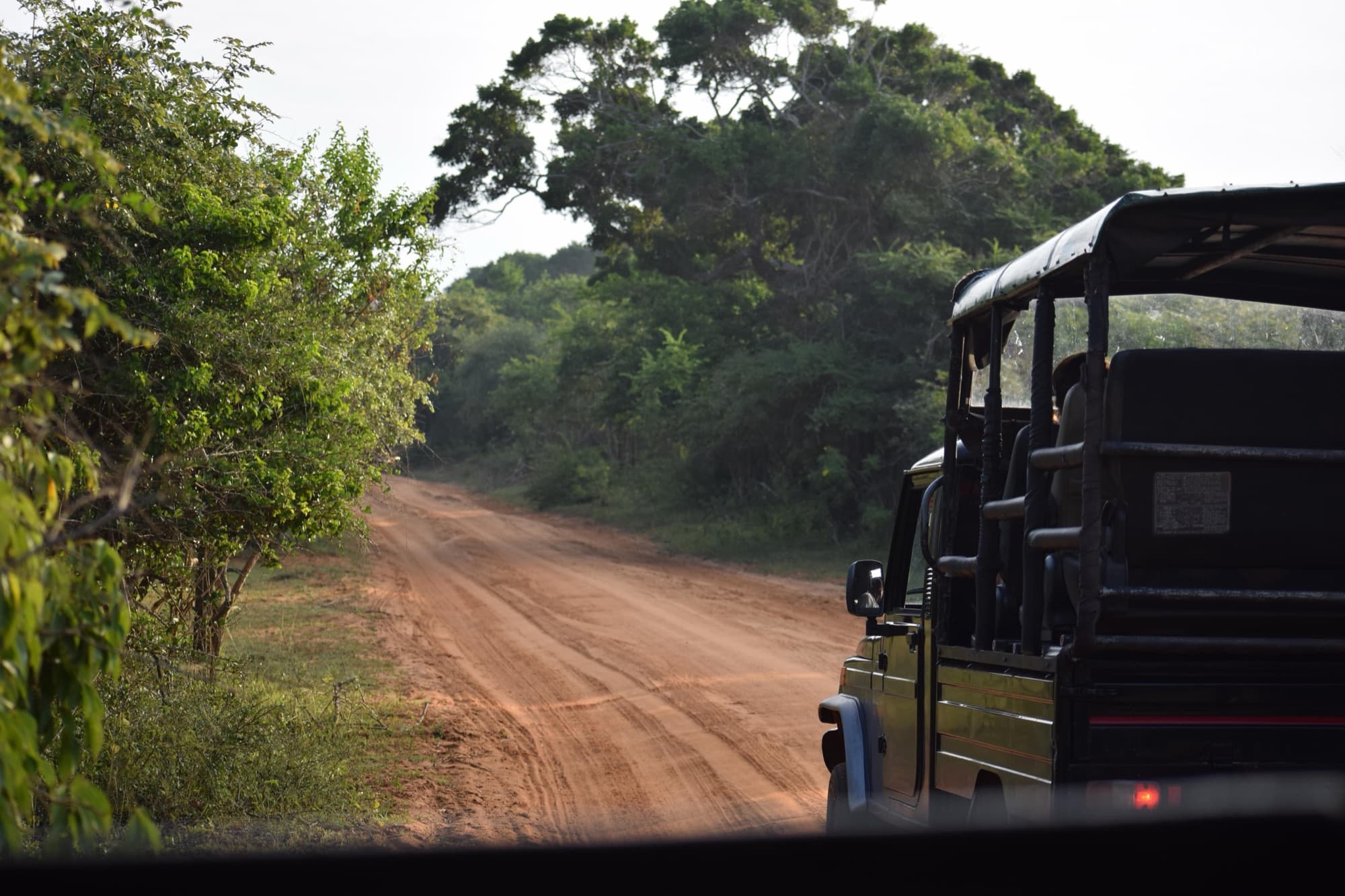 Safari jeep on a red dust track at the edge of Yala National Park