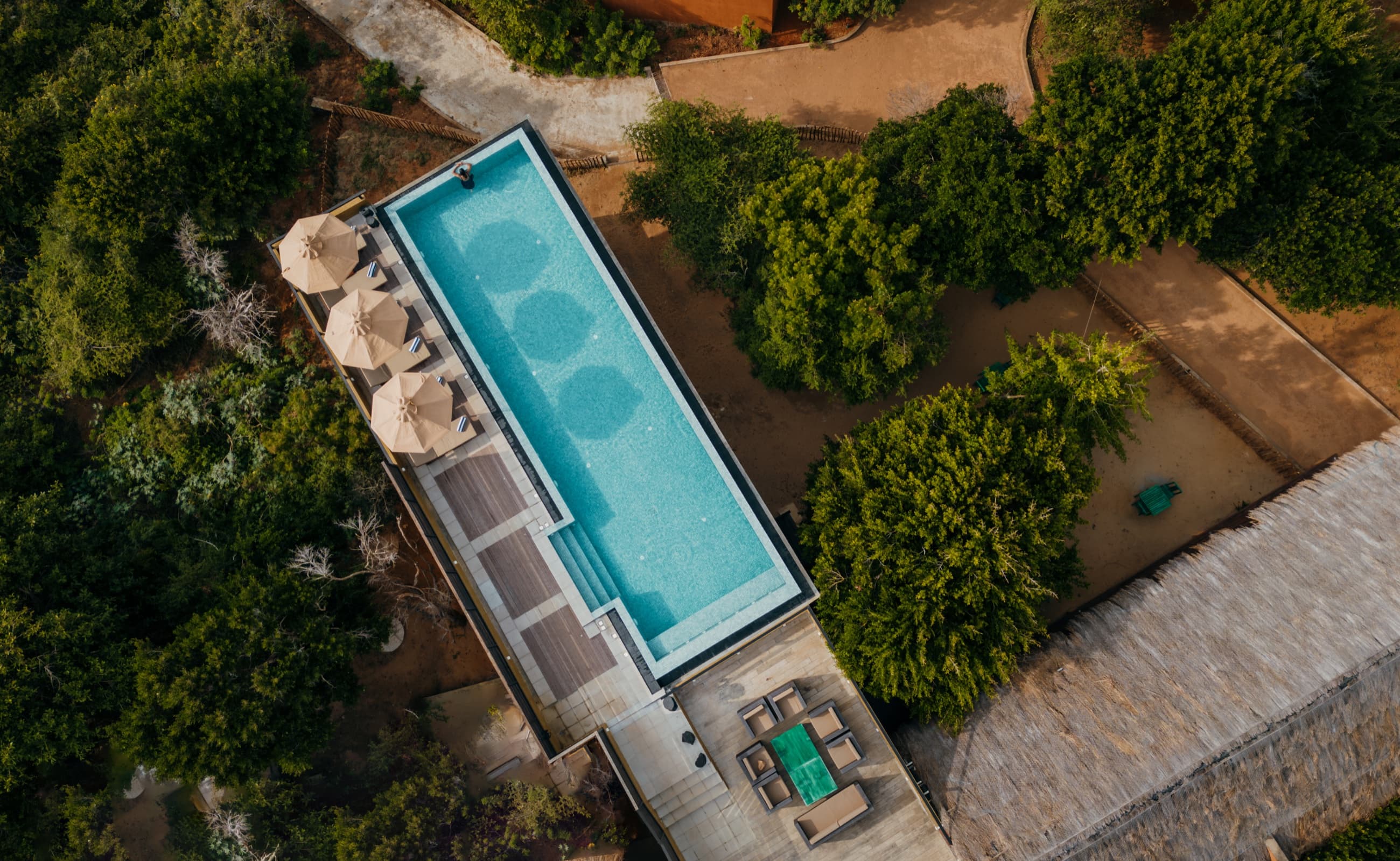 Aerial top-down view of the rooftop infinity pool framed by coastal scrub — Jetwing Jungle Lodge, Yala, Sri Lanka