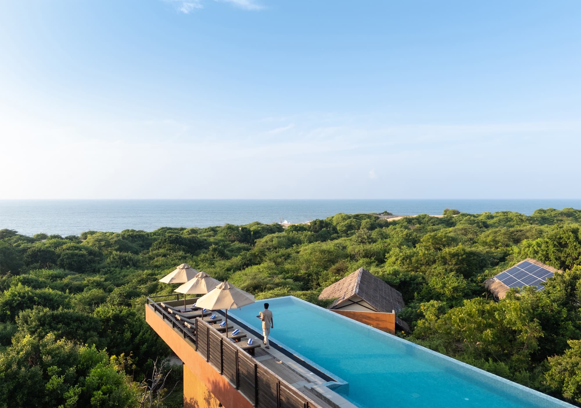 Rooftop infinity pool opening onto the coastal canopy and ocean horizon