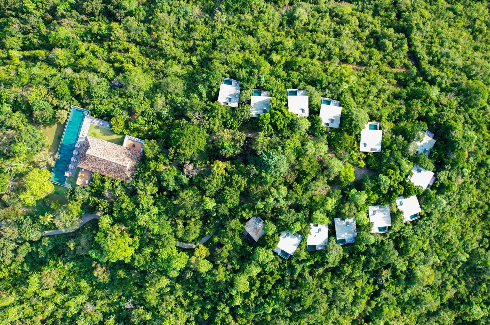 Overhead view of the pool villas set around the Main House and pool in the forest