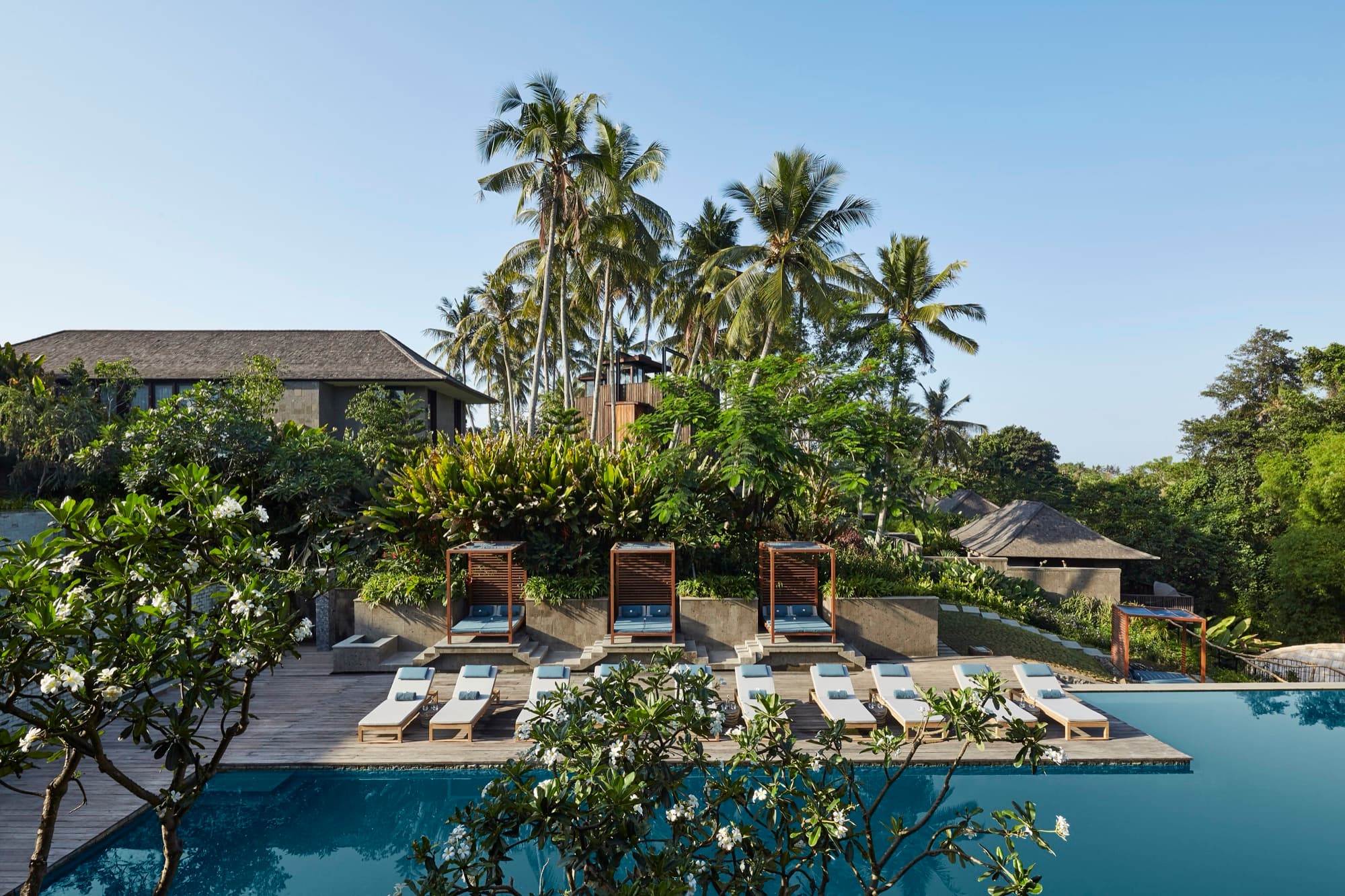 Pool with sun loungers and cabanas framed by palms and jungle