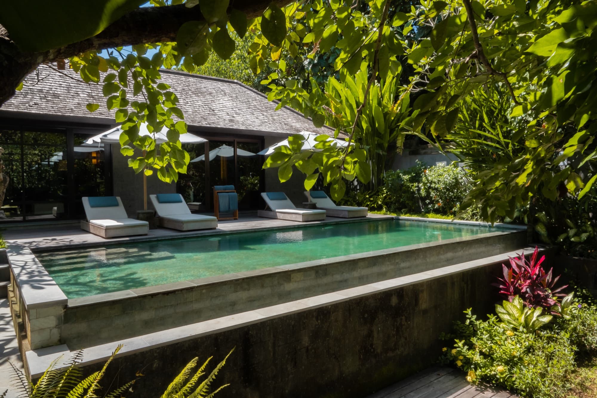 Private pool and loungers beside a thatched Two-Bedroom Jungle Pool Villa