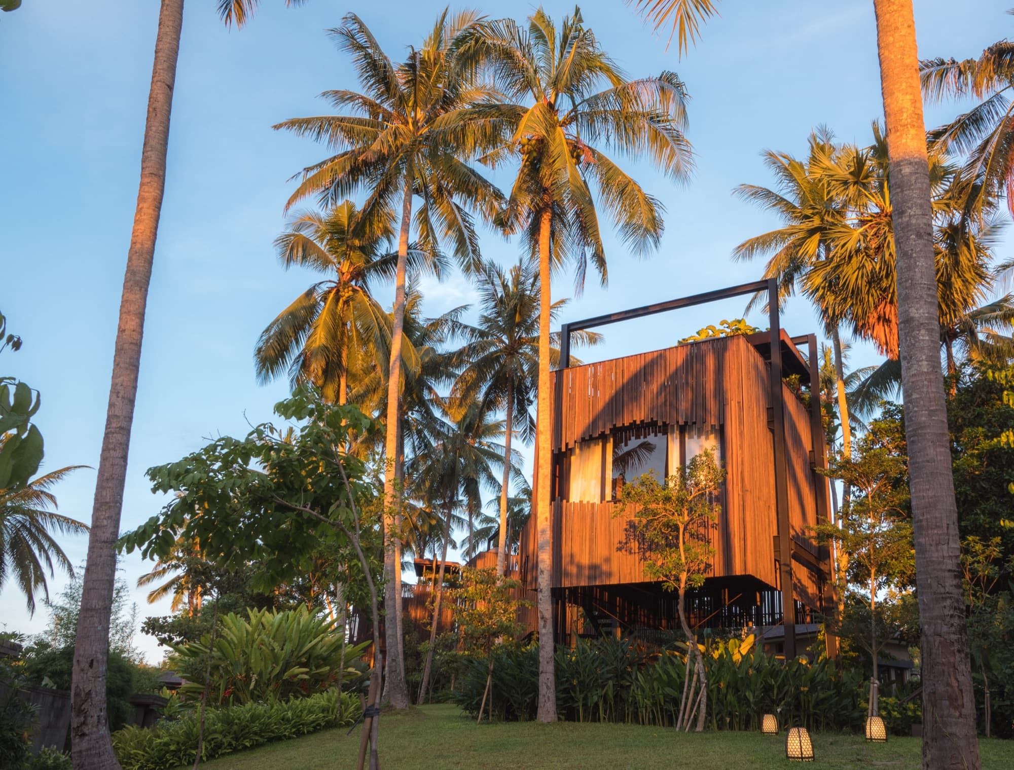 The Canopy Suite, a timber treehouse raised among coconut palms at golden hour