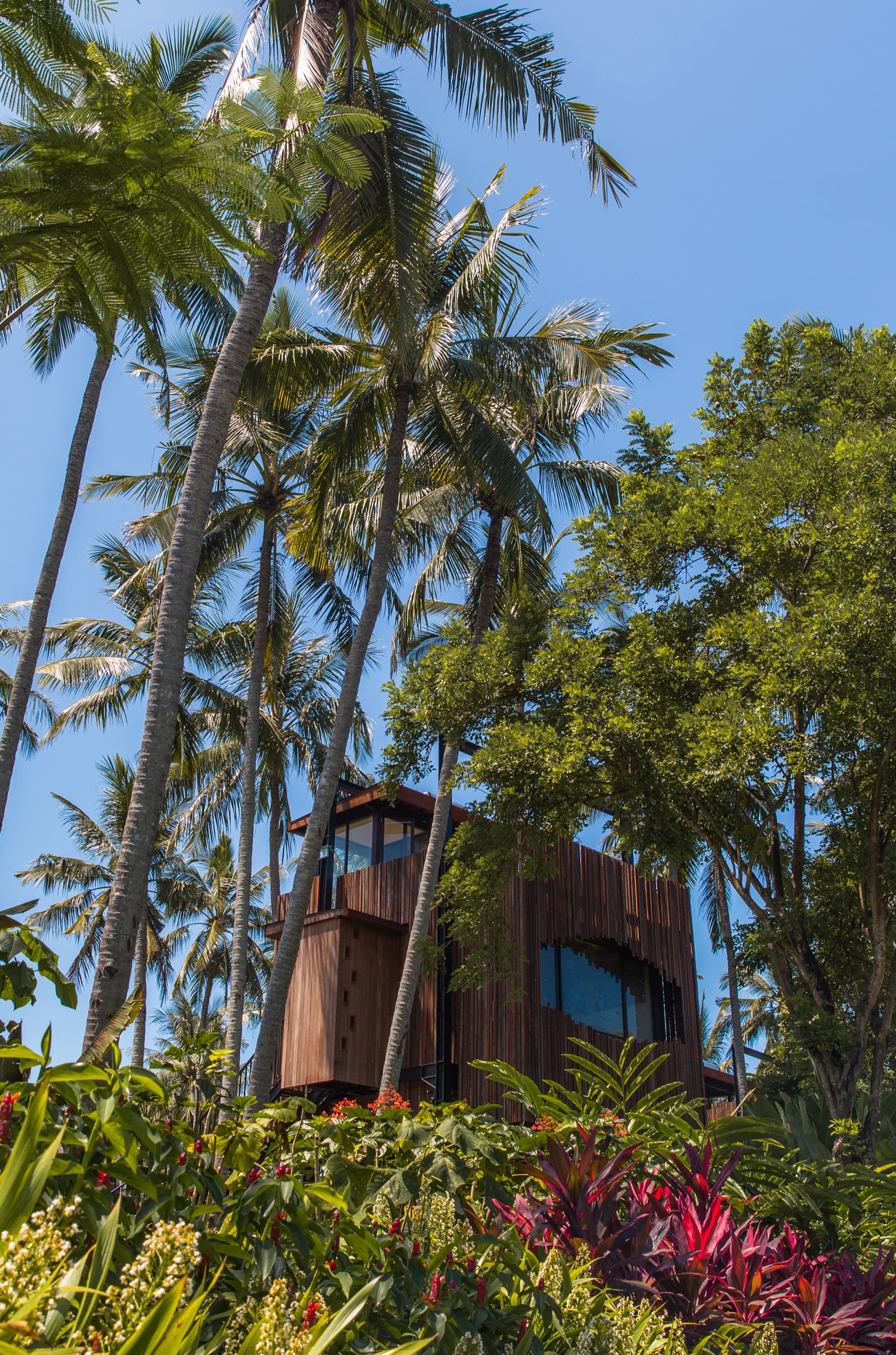 The Canopy Suite treehouse surrounded by palms and tropical planting
