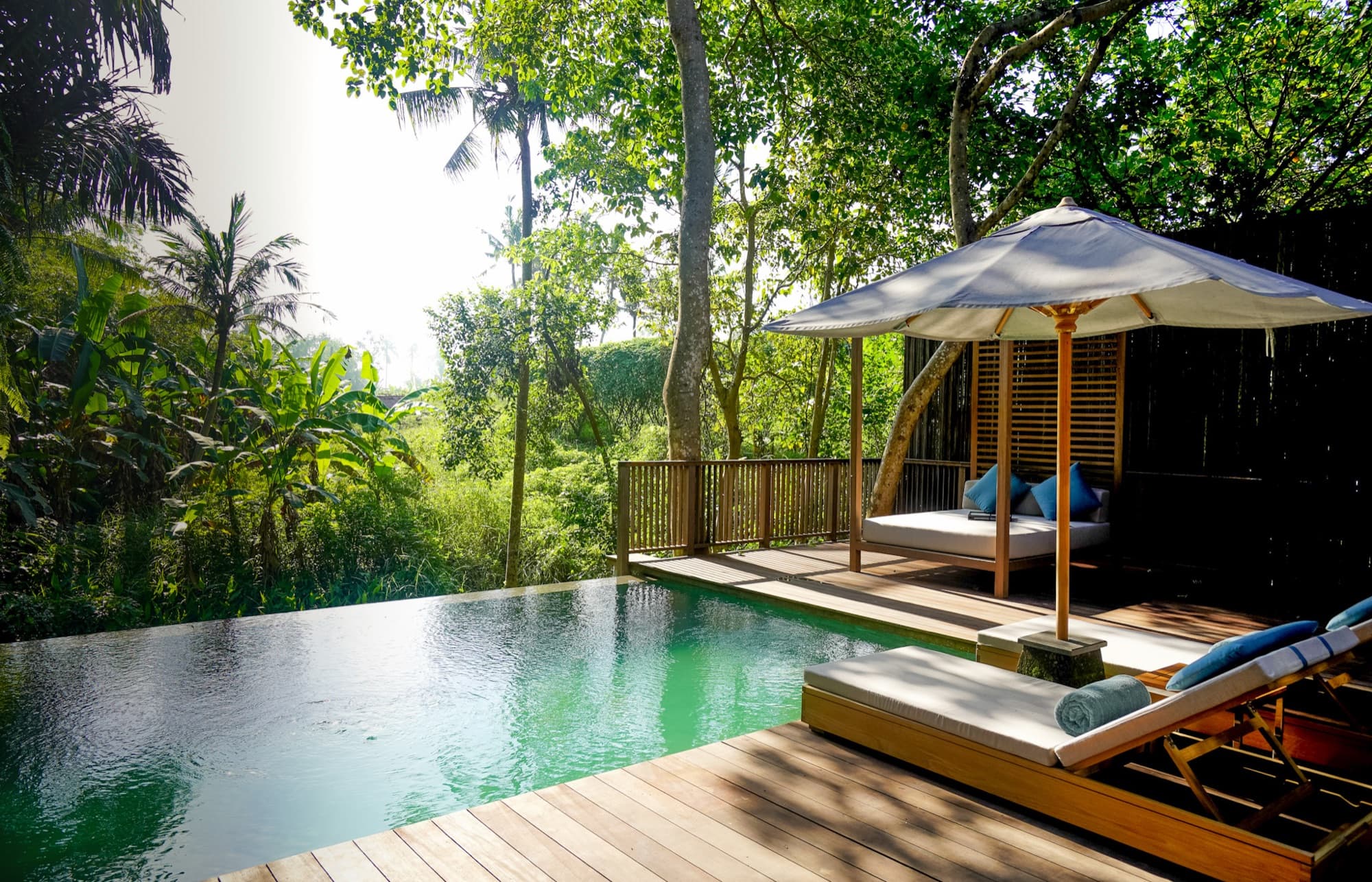 Private infinity pool and shaded daybed at The Residence