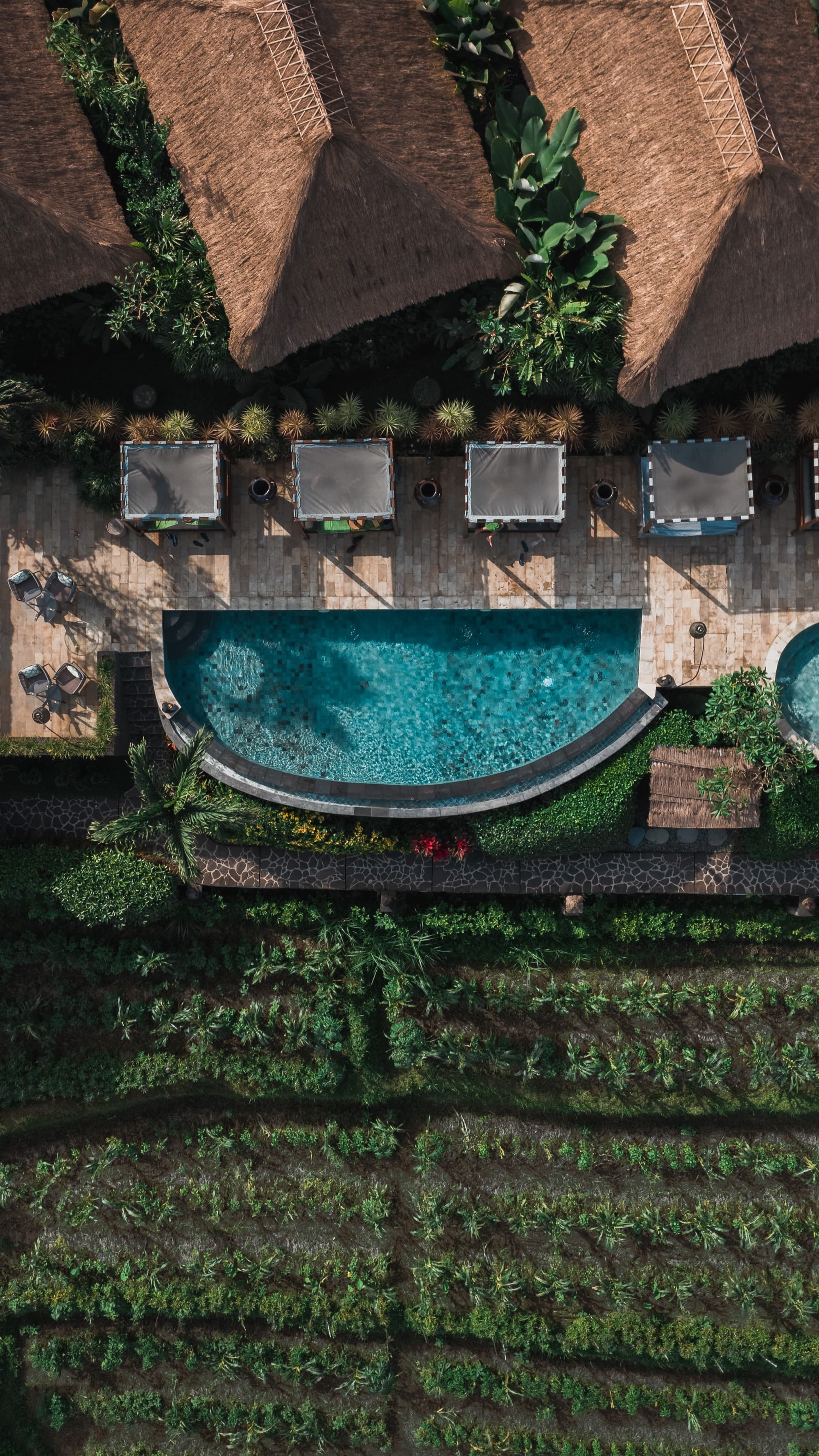 Top-down aerial view of infinity pool bordering Sidemen rice terraces