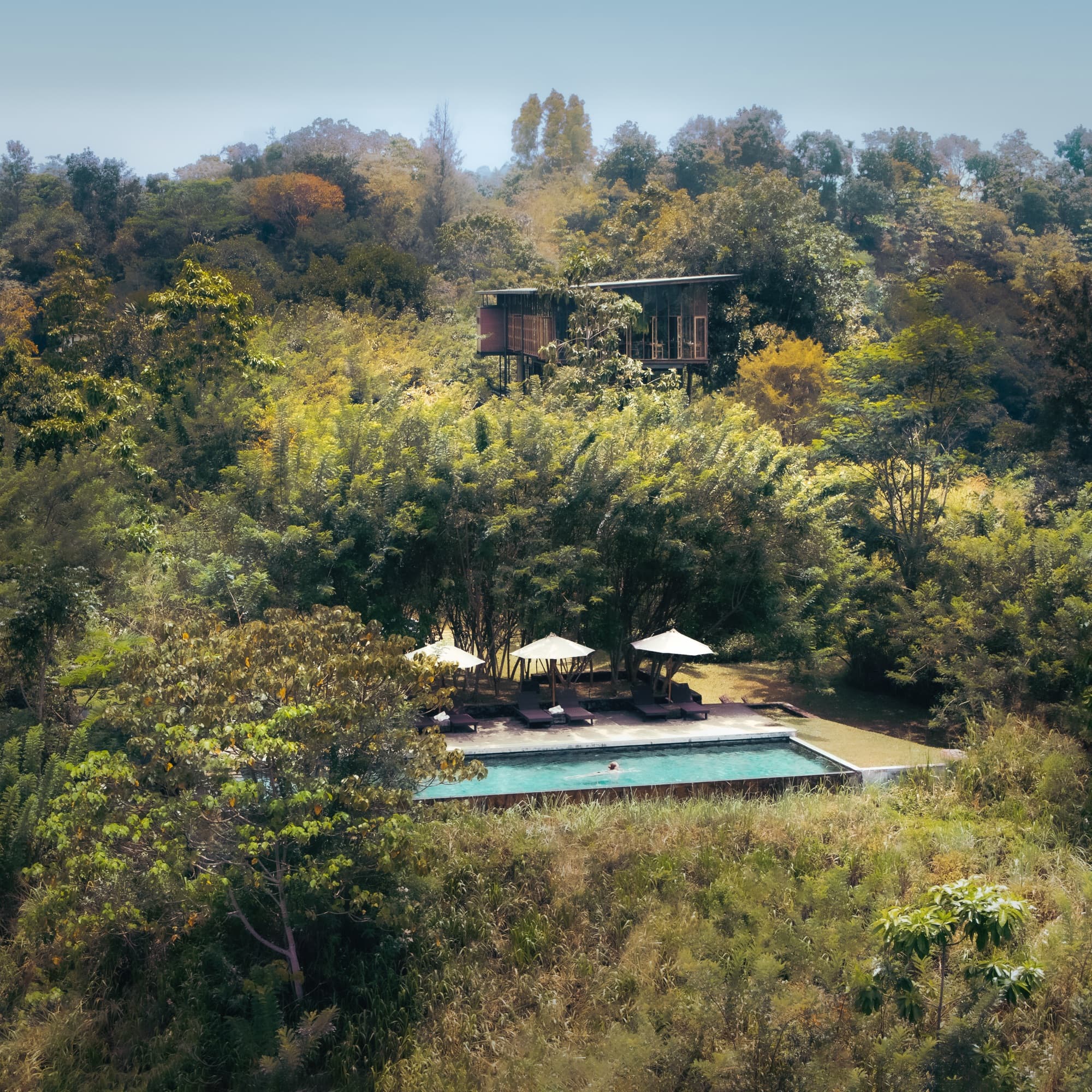Infinity pool and parasols tucked into the forest below chalets hidden in the trees