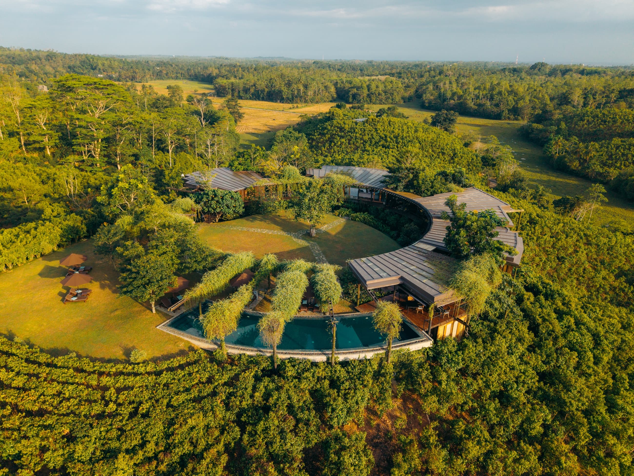 Aerial view of the curved timber roundhouse and infinity pool set in jungle and plantation — Trebartha East, near Ahangama, Sri Lanka