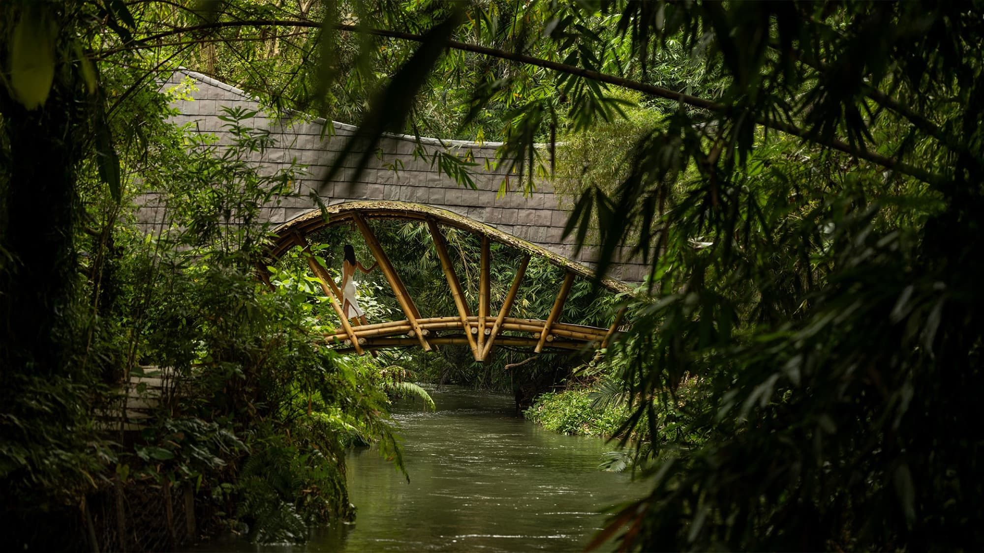 Arched bamboo footbridge crossing the river through the greenery