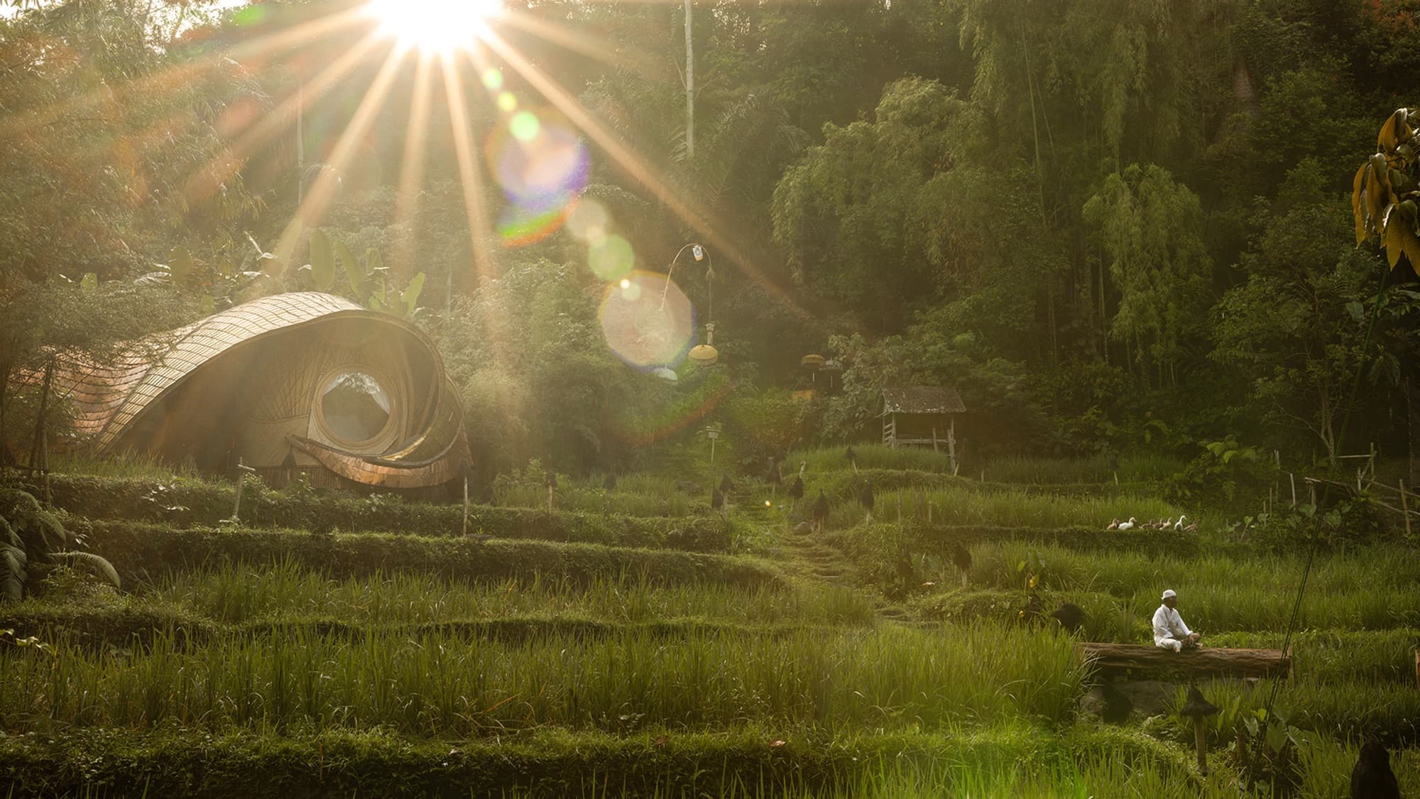 Bamboo house above rice terraces at sunrise