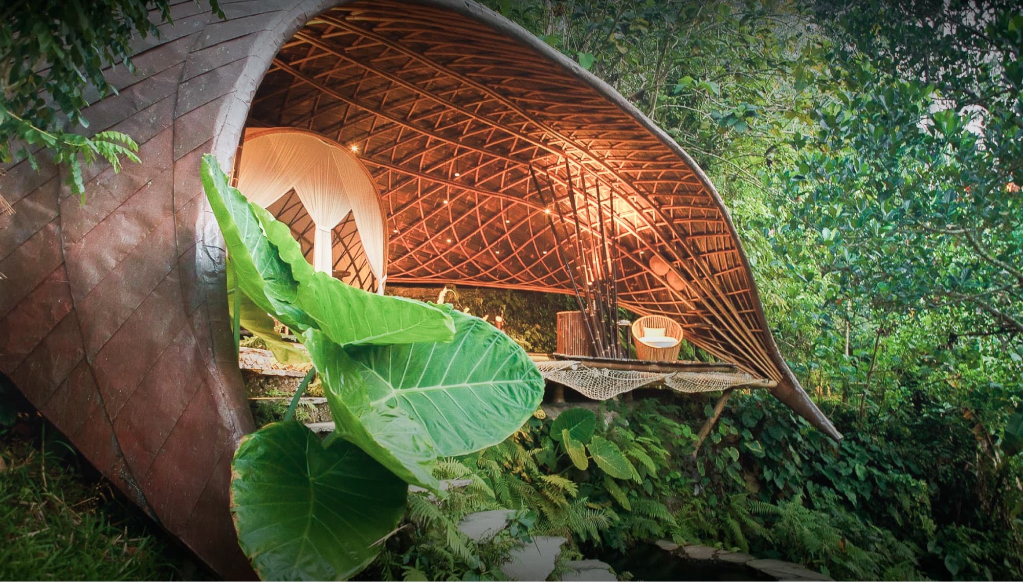 Curved bamboo house emerging from the jungle