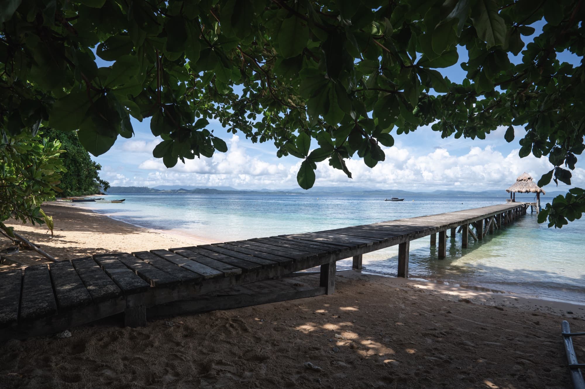 Loungers on the white-sand beach under the trees at Coral Eye