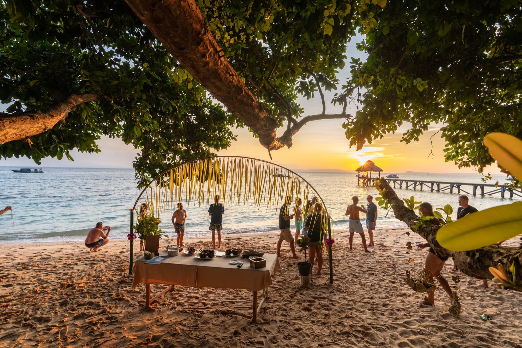 White-sand beach shaded by trees at Coral Eye