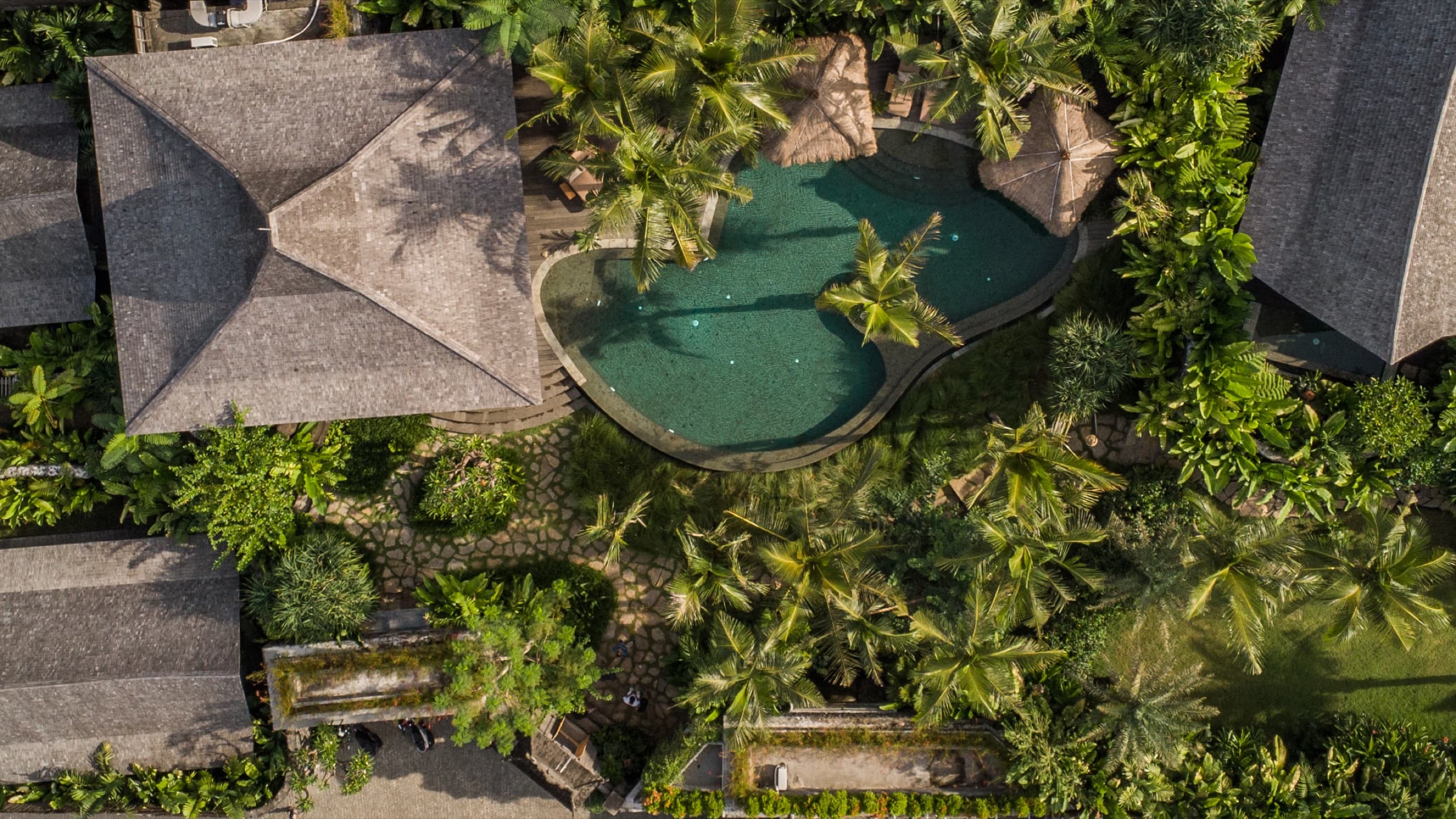 Aerial view of the pool ringed by villas with shingled roofs amid palms, Desa Hay, Canggu, Bali
