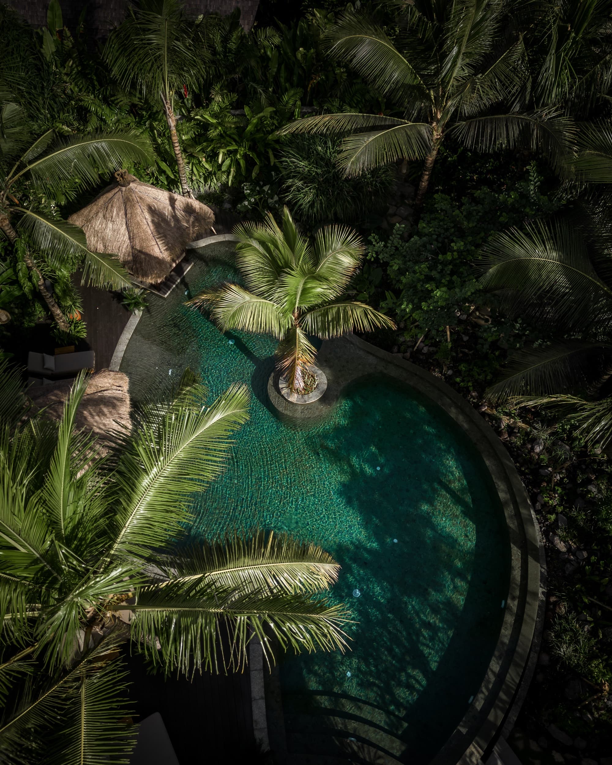 Curved swimming pool framed by palms and dense tropical planting, seen from above