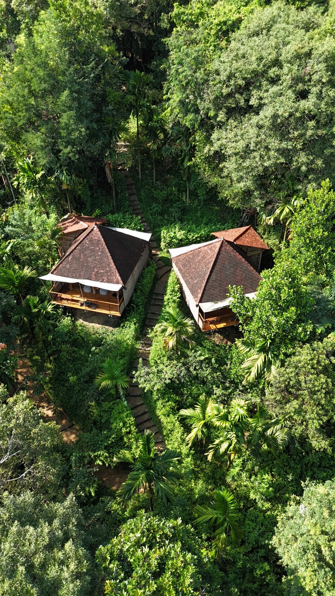 Aerial view of two treetop Forest Pavilions among the rainforest canopy