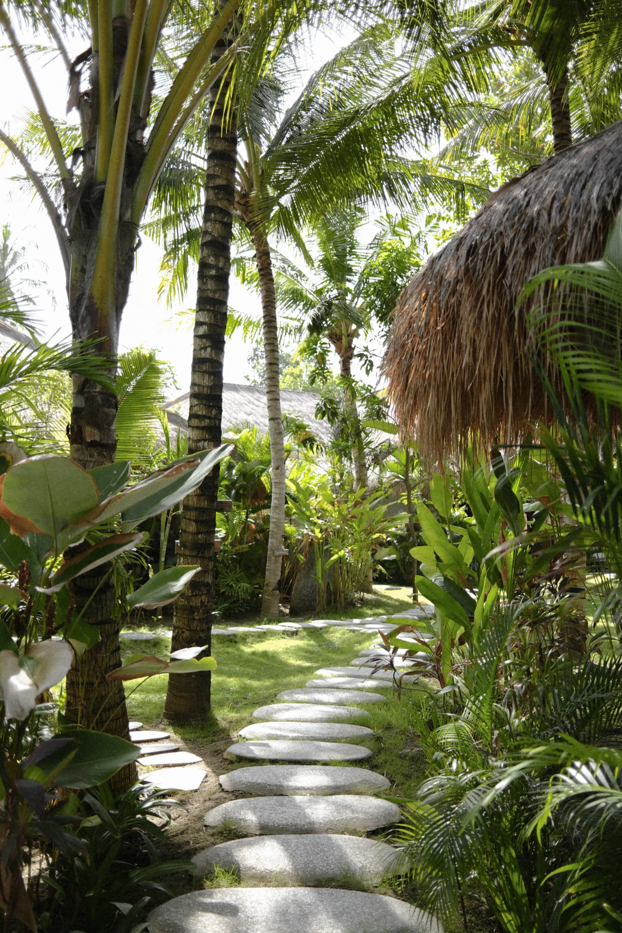 Stepping-stone path winding past a bungalow through dense tropical garden