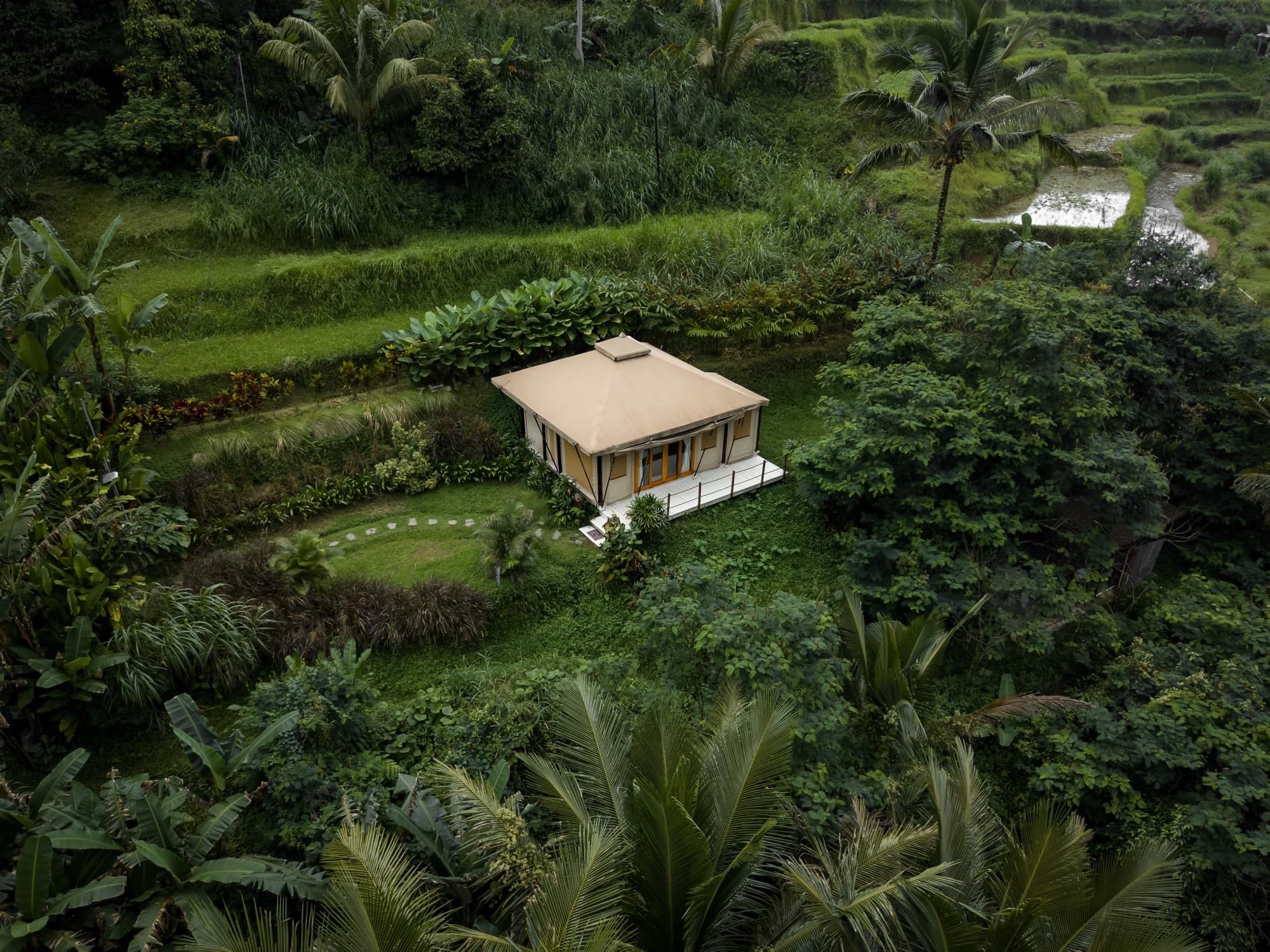 Breeze Tent surrounded by rice paddies and tropical vegetation, aerial view