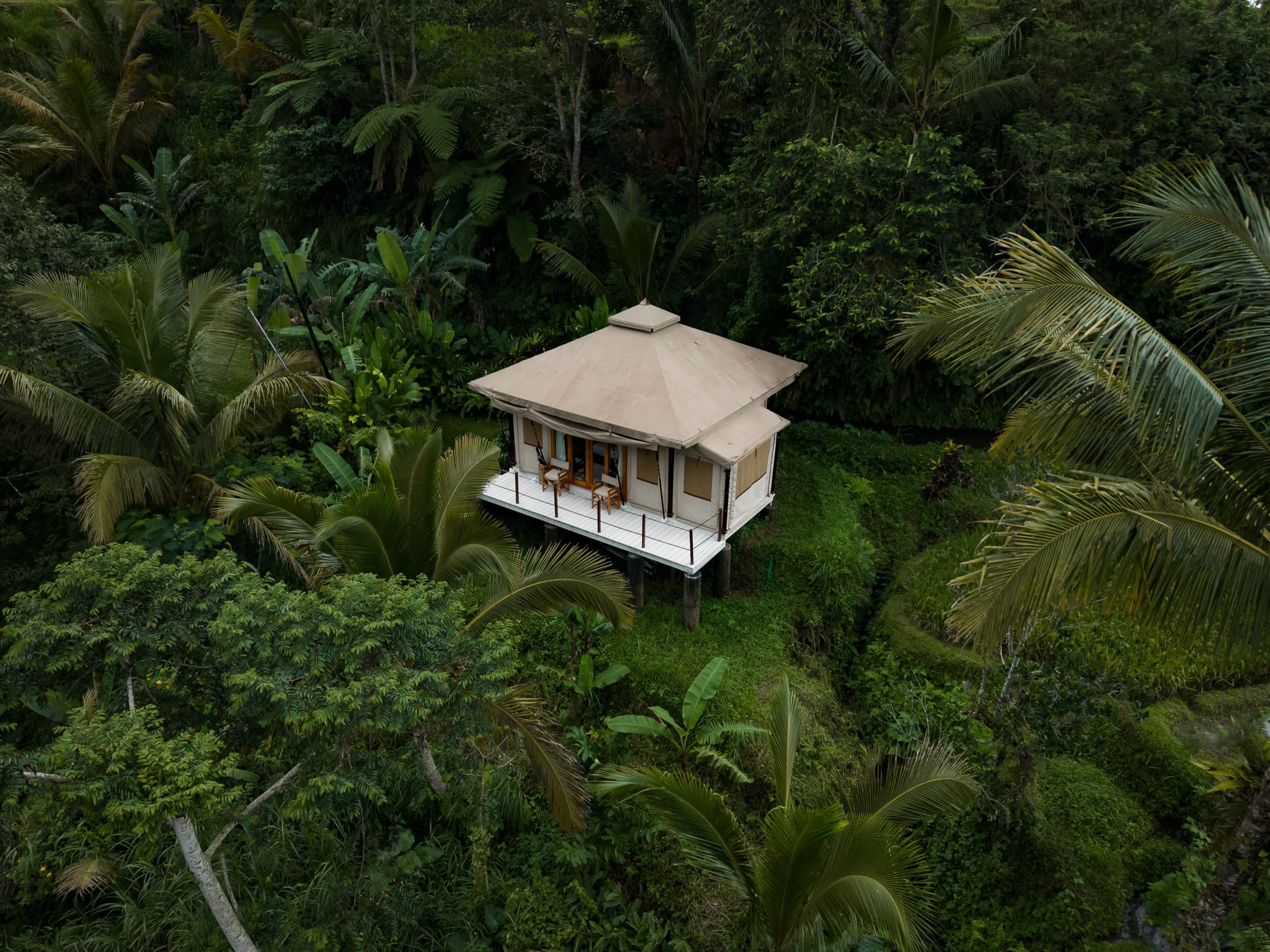 Mountain View Tent isolated in dense palm canopy in the Mt Batukaru foothills, Tabanan, Bali