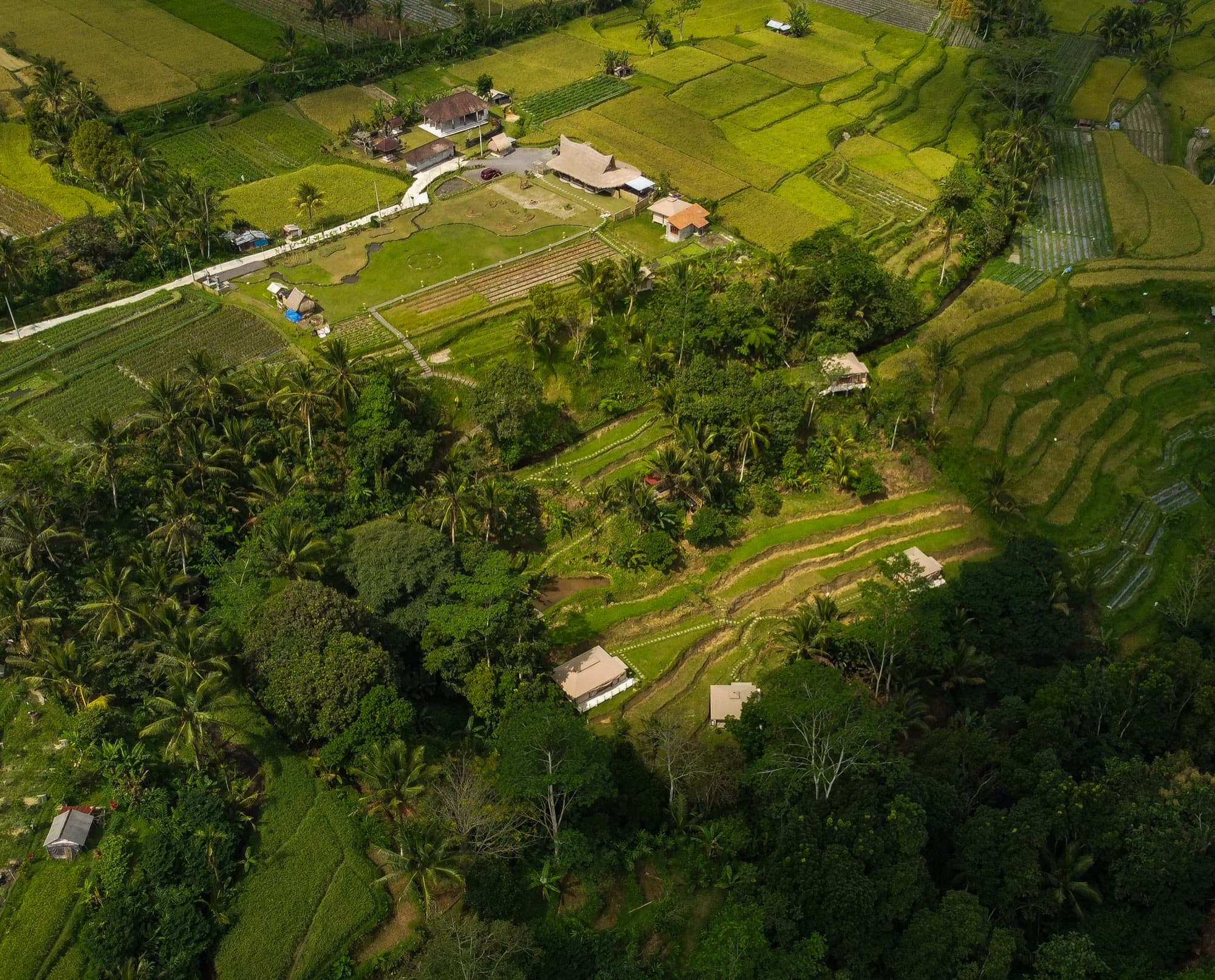 Aerial view of Nadi Nature Resort with rice terraces and surrounding hills