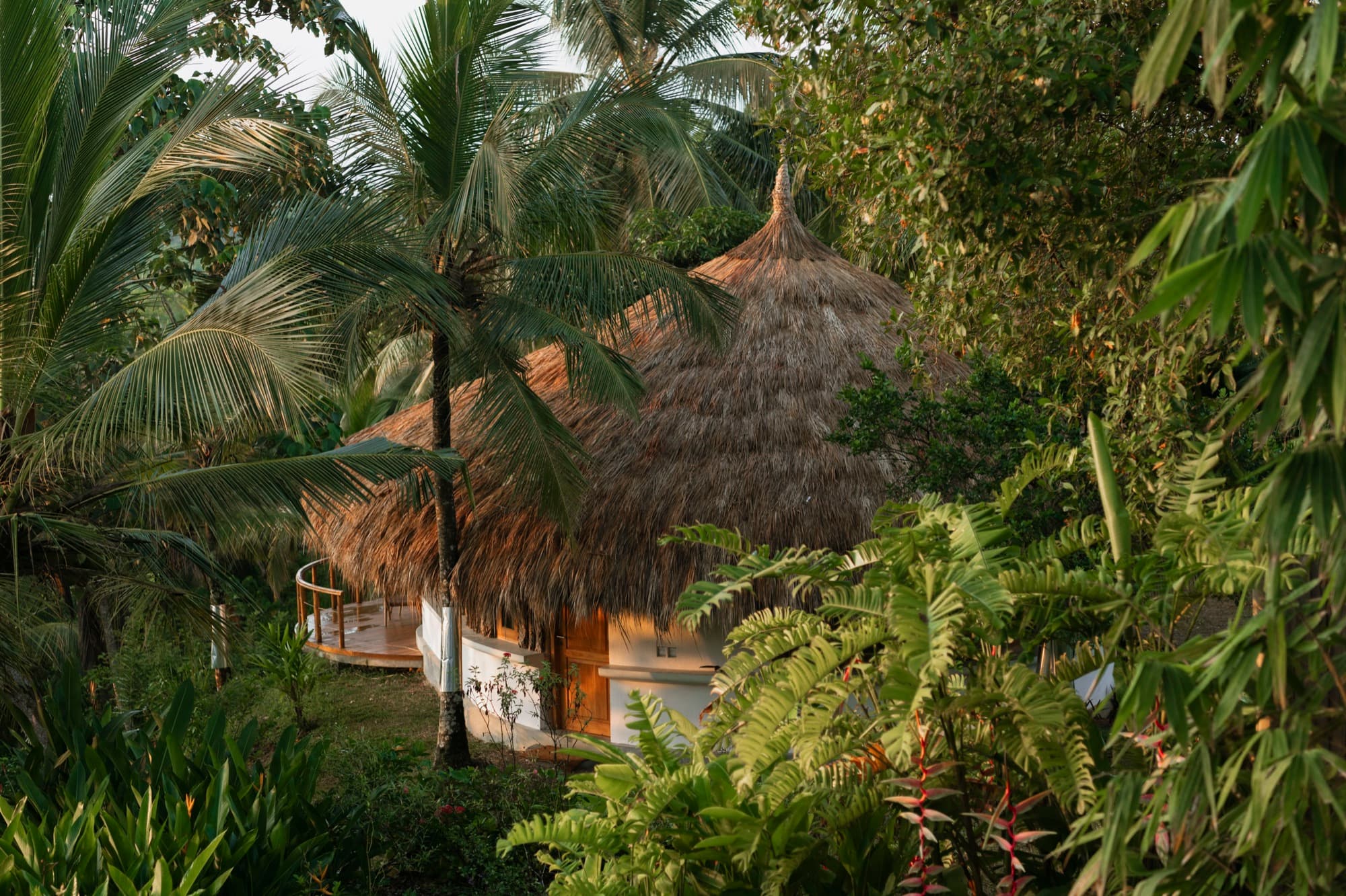 Thatched cabana nestled among palms and tropical greenery