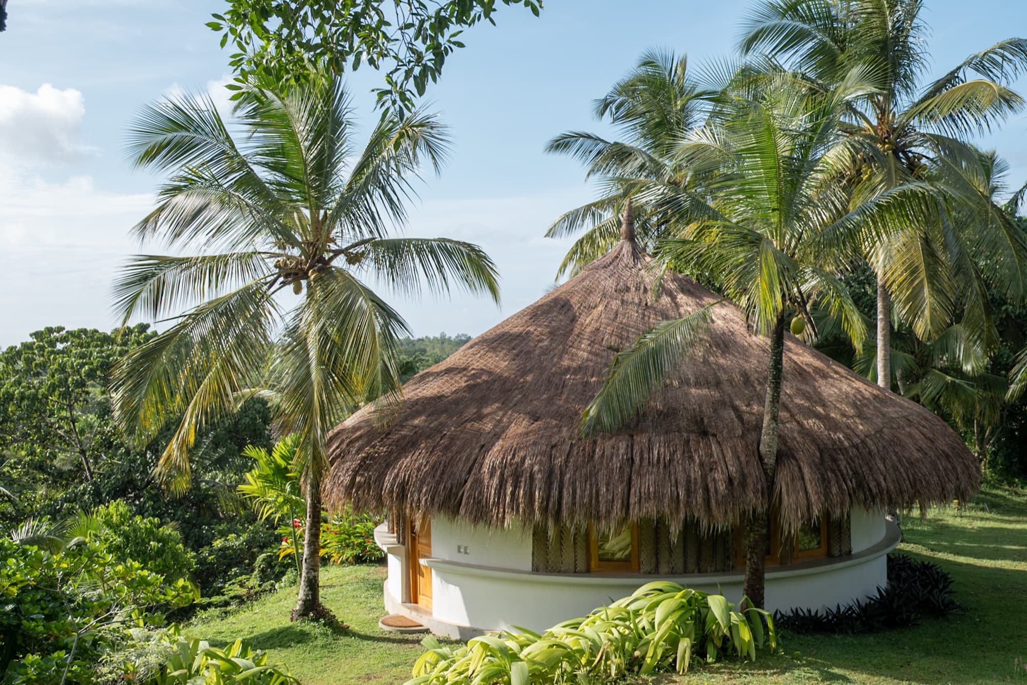 Round whitewashed cabana with a conical thatch roof among coconut palms