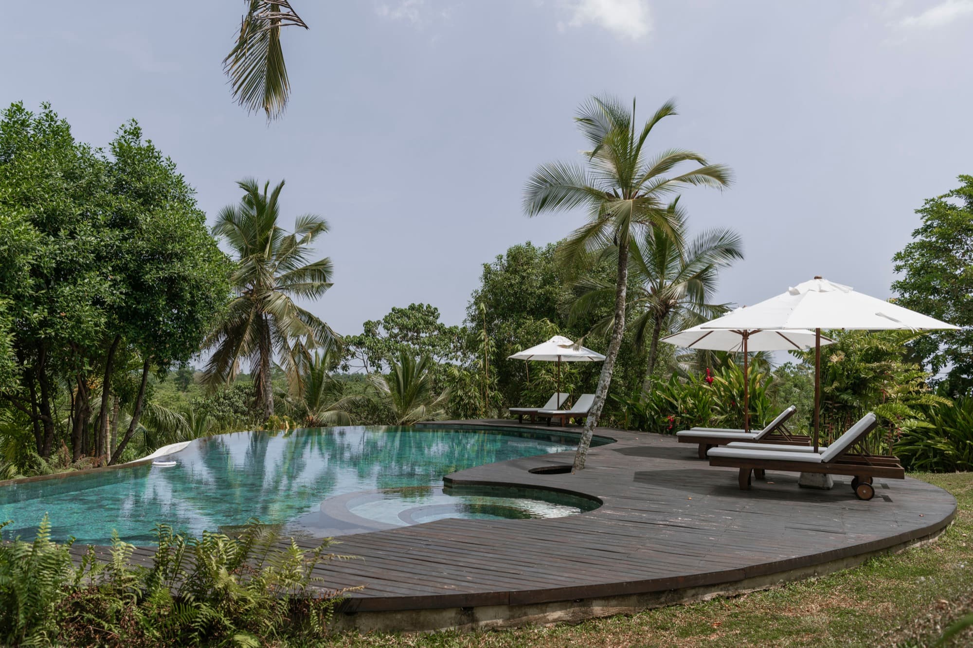 Infinity pool and timber deck with loungers overlooking the jungle canopy