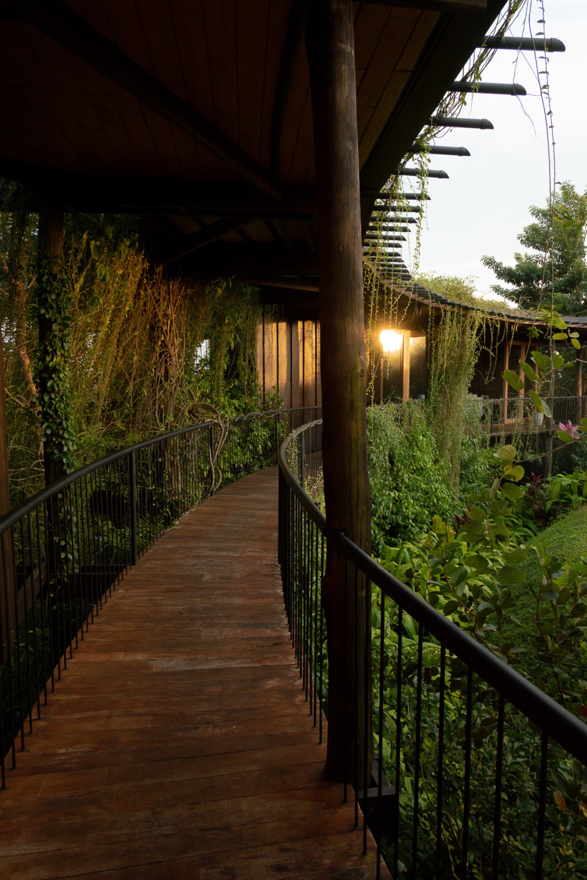 Curved timber walkway lit by a lantern winding past dense greenery at dusk