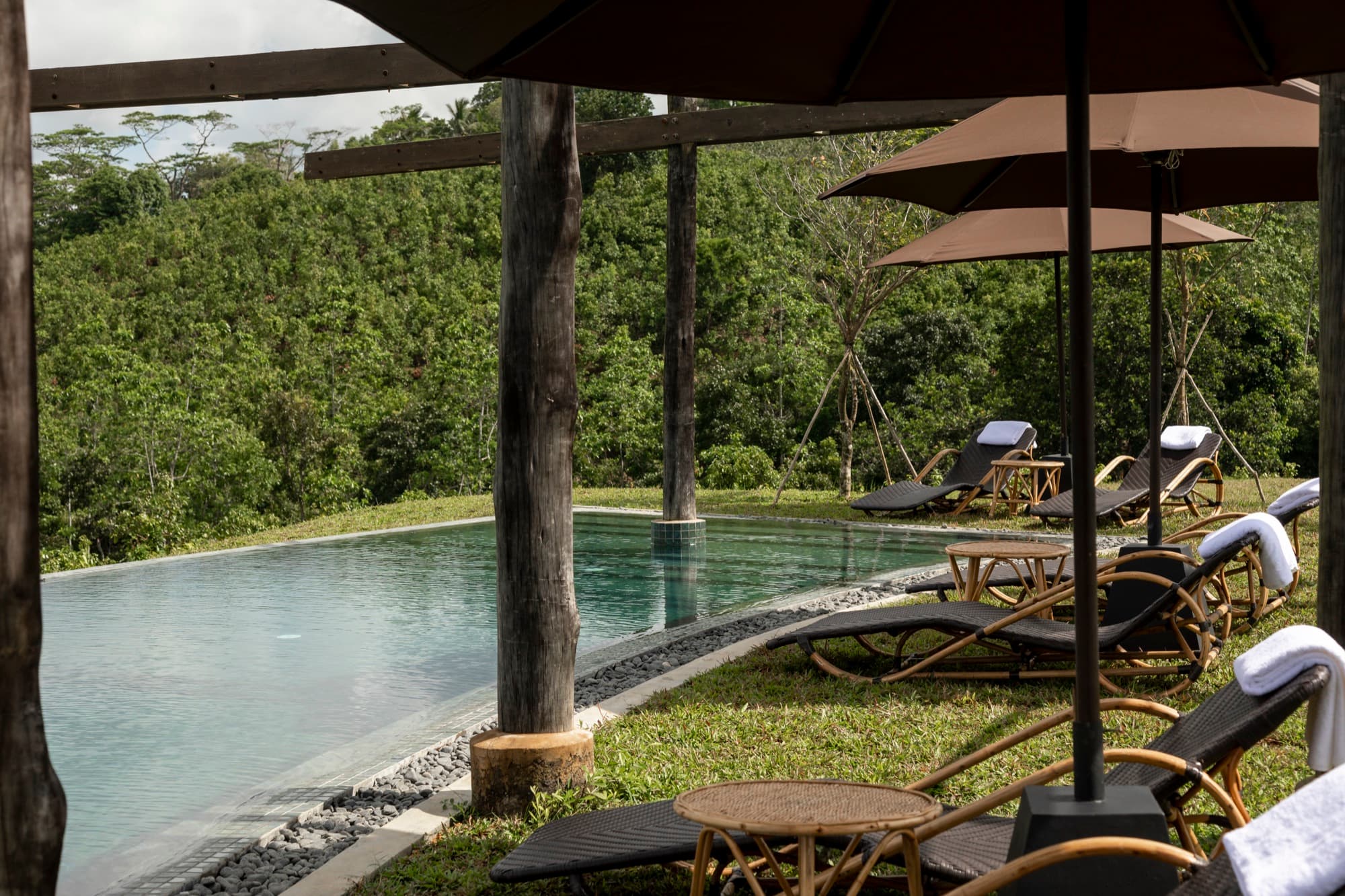 Sun loungers and parasols lining the infinity pool above the forest