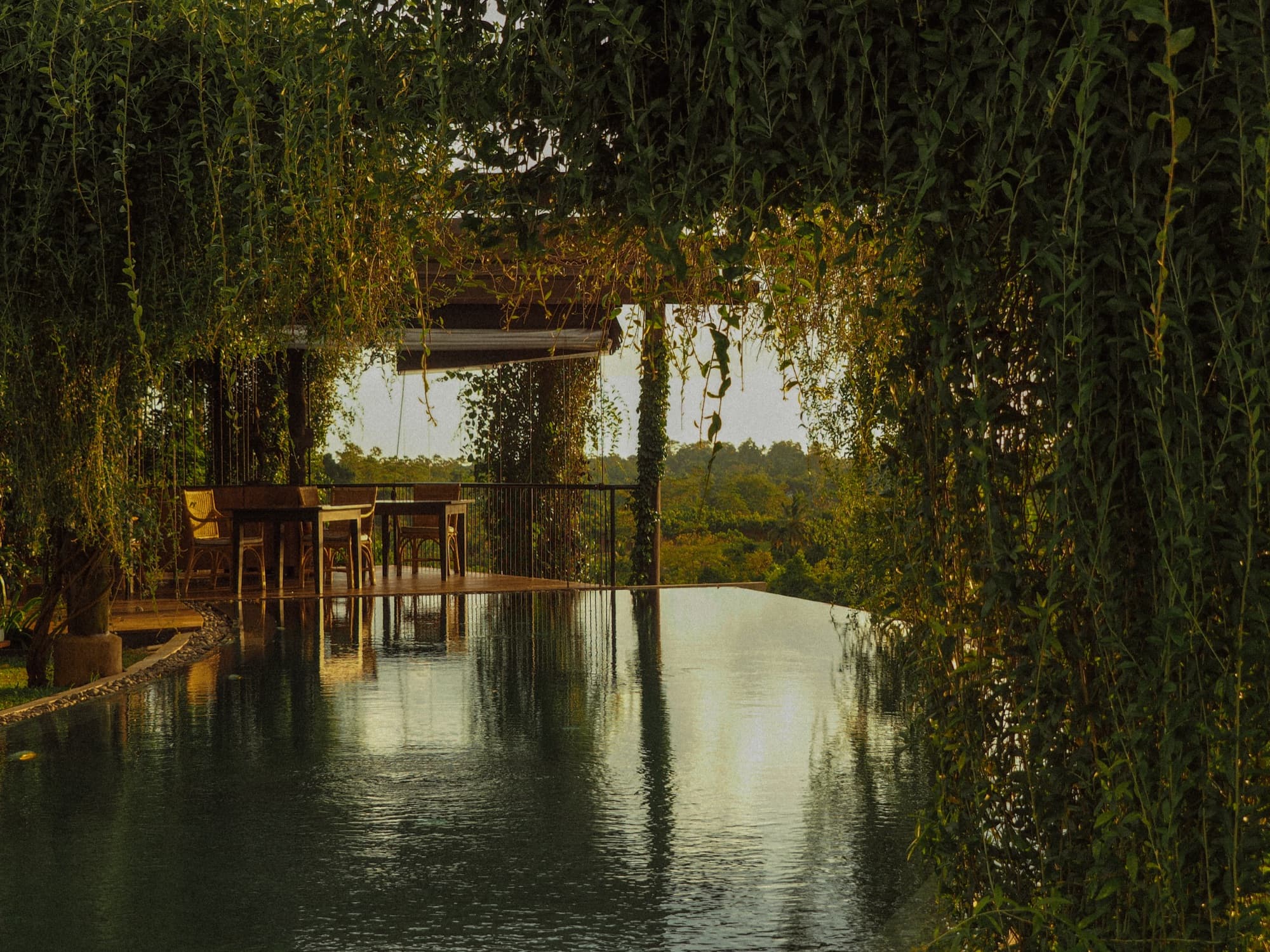 Infinity pool framed by hanging greenery with a dining table at golden hour