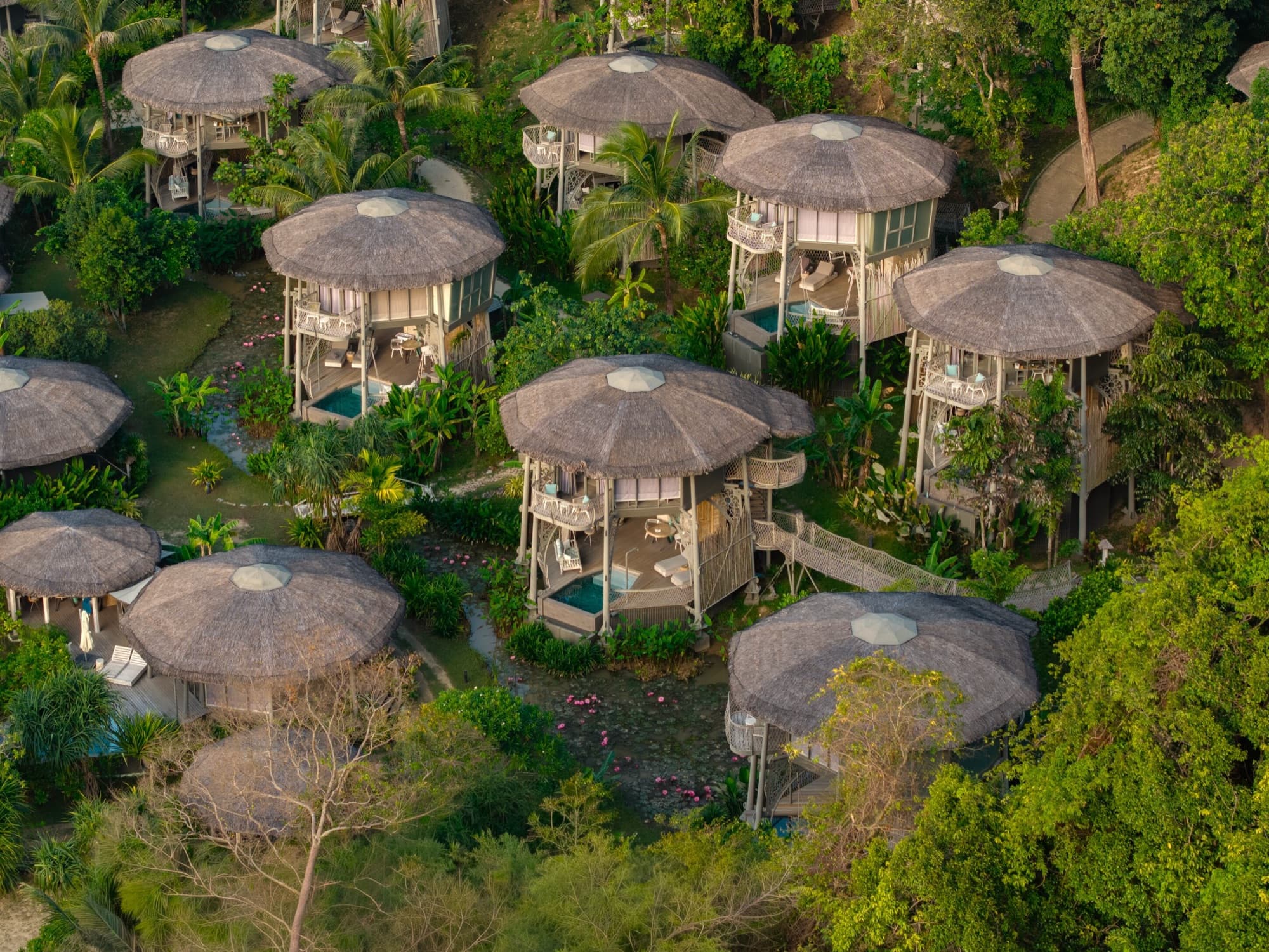 Aerial view of the thatched roofs at golden hour, private plunge pools visible on the villa decks