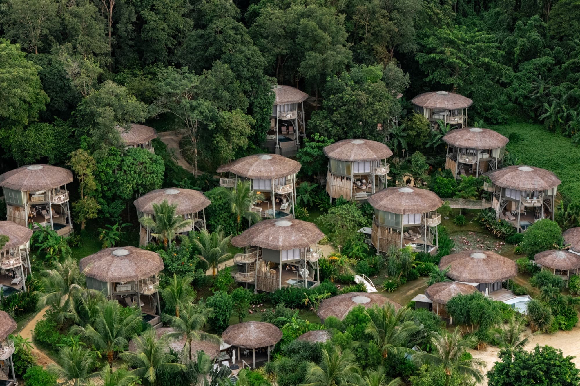 Aerial view of the villas scattered across the forested slope, their round thatched roofs level with the canopy