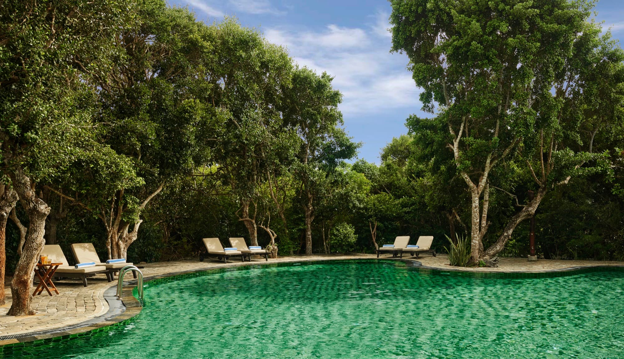 Main pool lined with loungers under the trees