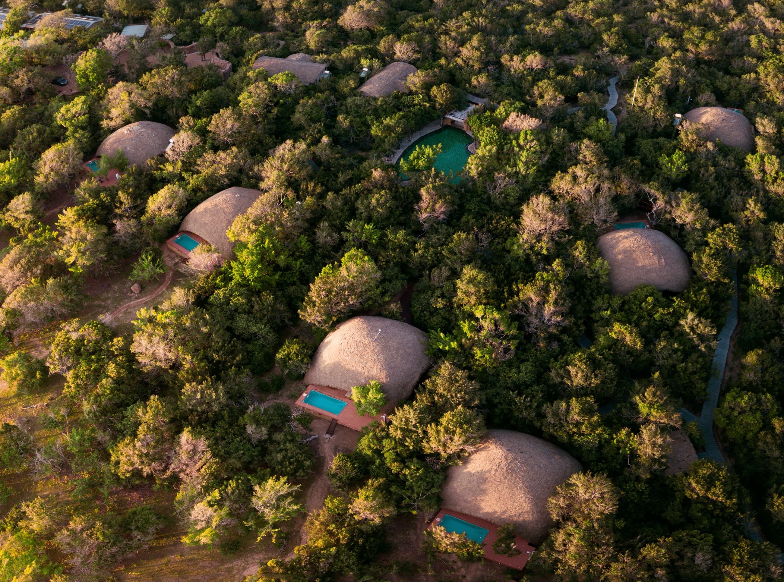 Thatched dome cabins with private pools scattered through the bush, seen from above — safari lodge at Yala, Sri Lanka