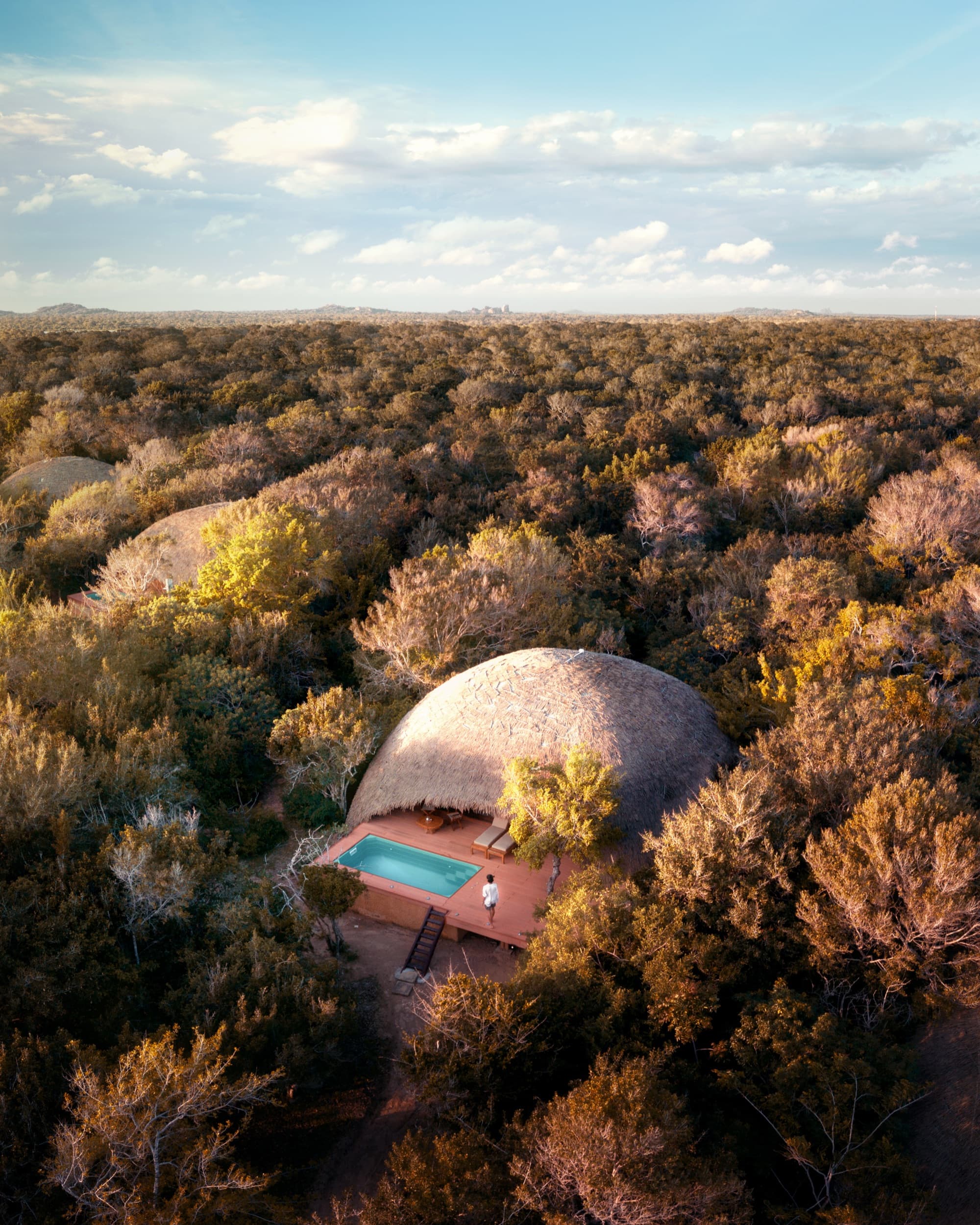 A thatched dome cabin and its pool among dry-zone trees, seen from above