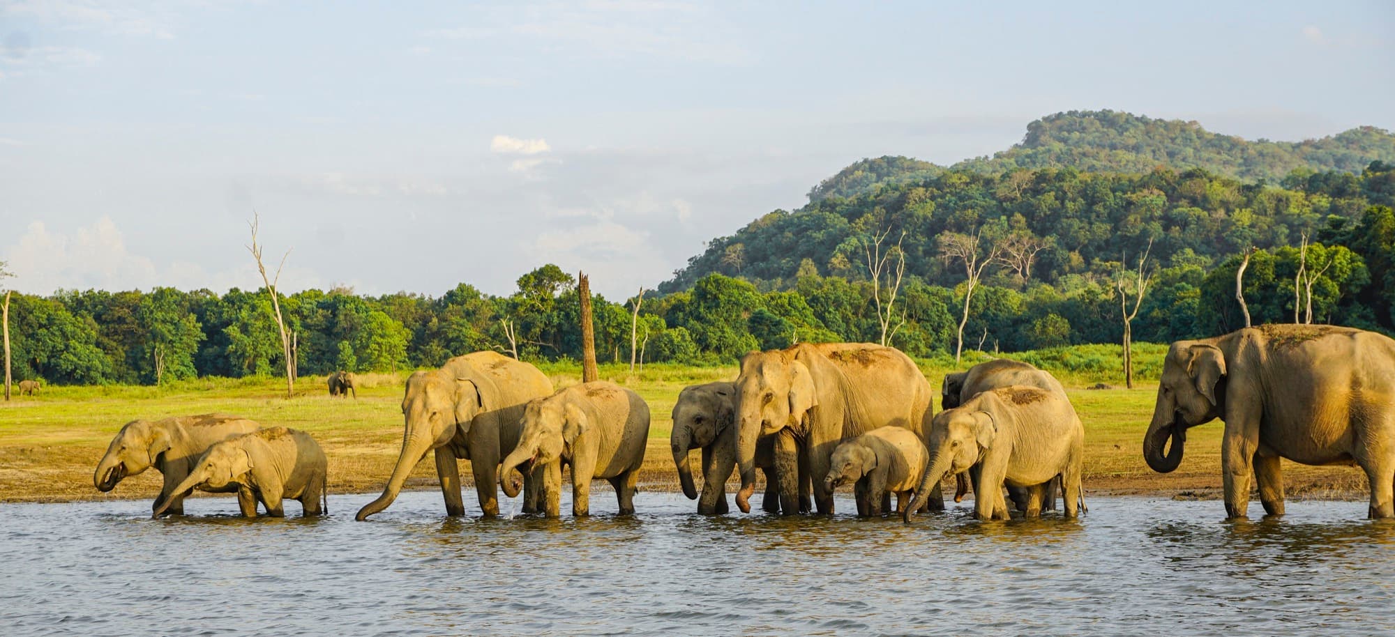 A sustainable luxury stay in Sri Lanka