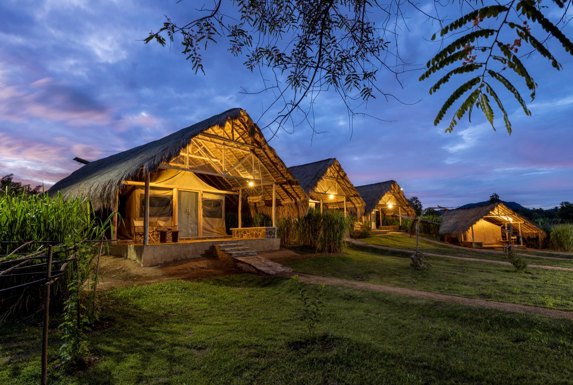 Row of thatched tent pavilions lit at blue hour, dusk over Gal Oya
