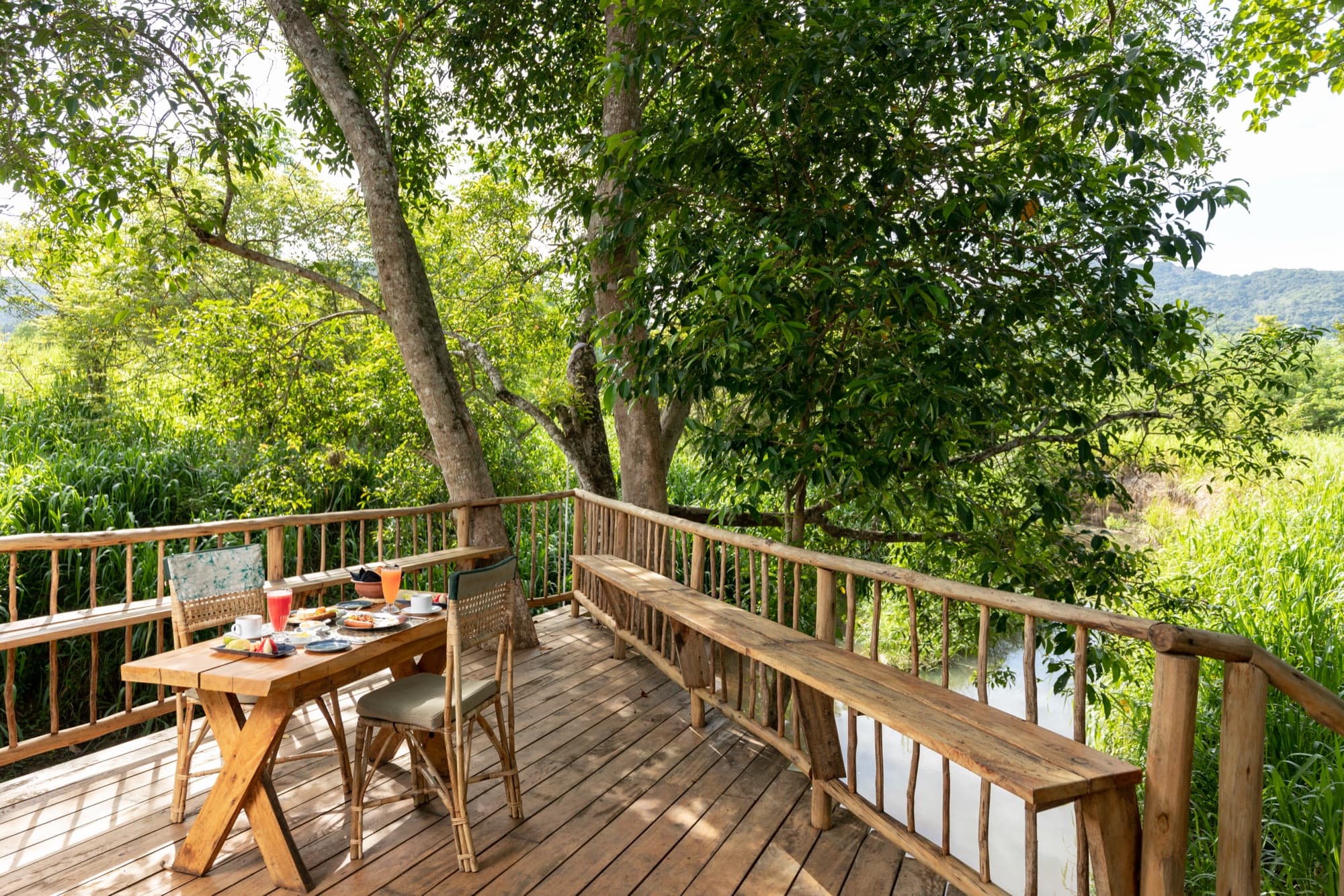 Destination dining table on a raised wooden deck under the tree canopy