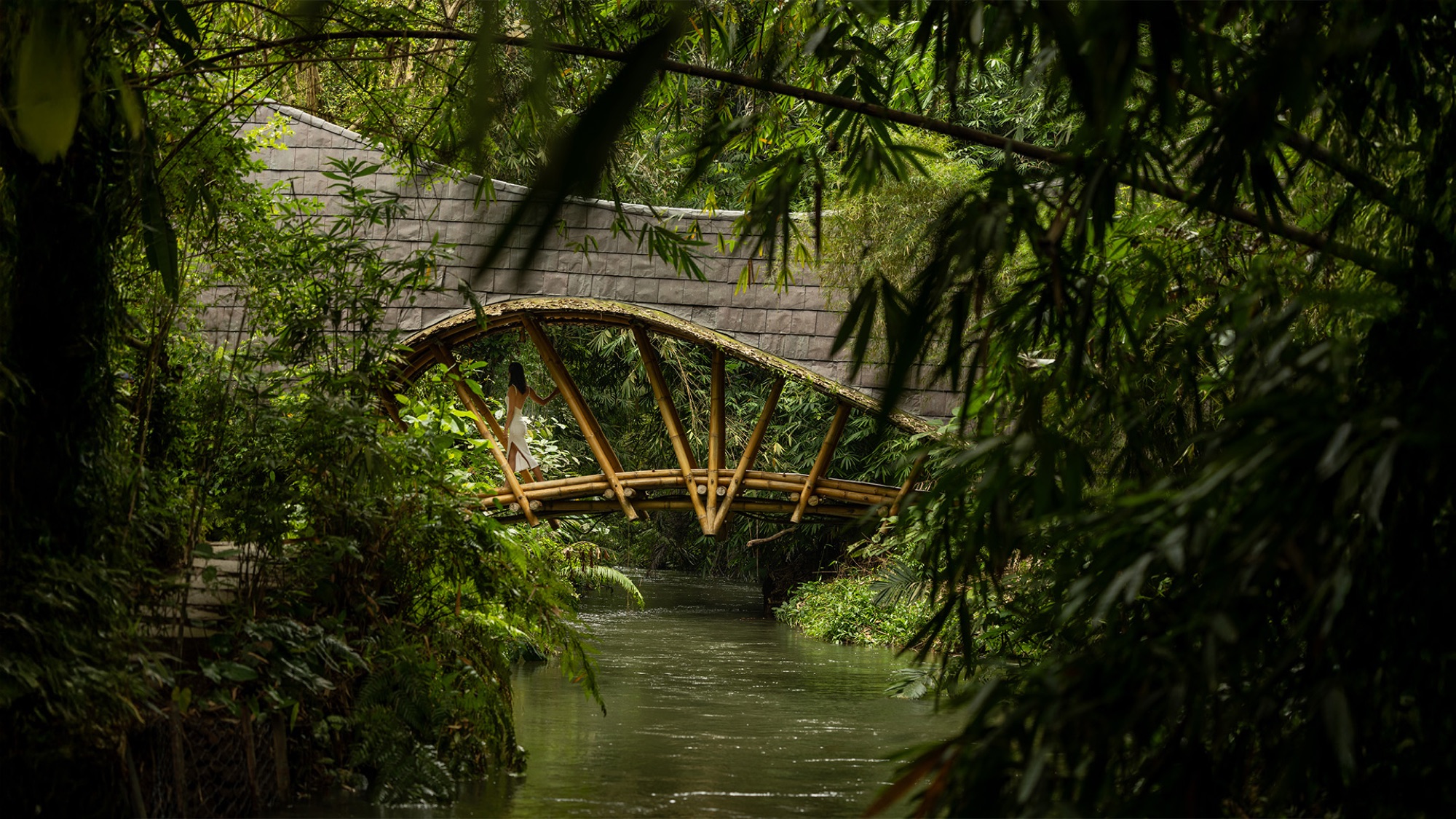 Arched bamboo footbridge crossing the river through the greenery