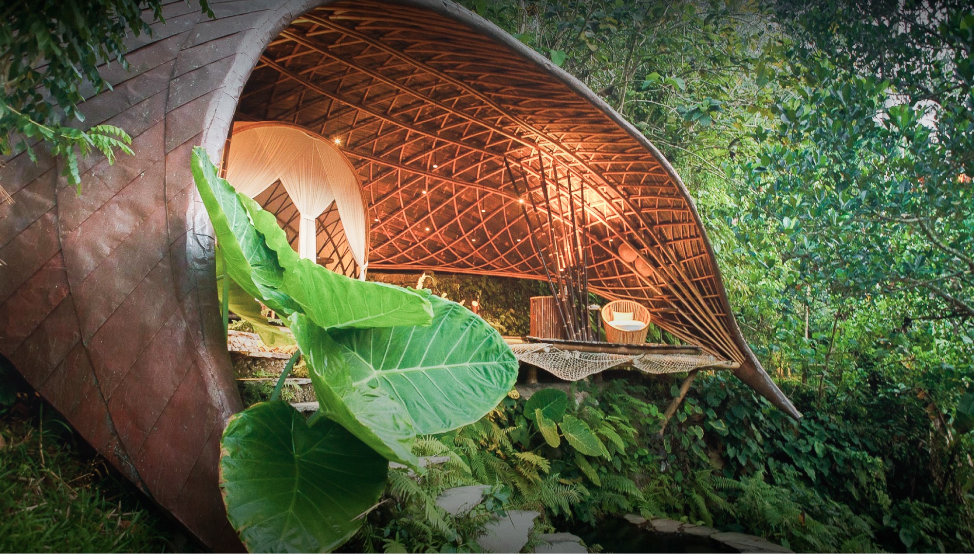 Curved bamboo house emerging from the jungle