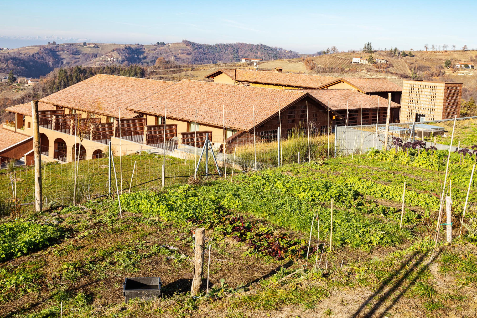 Kitchen garden on the slope below the hotel buildings