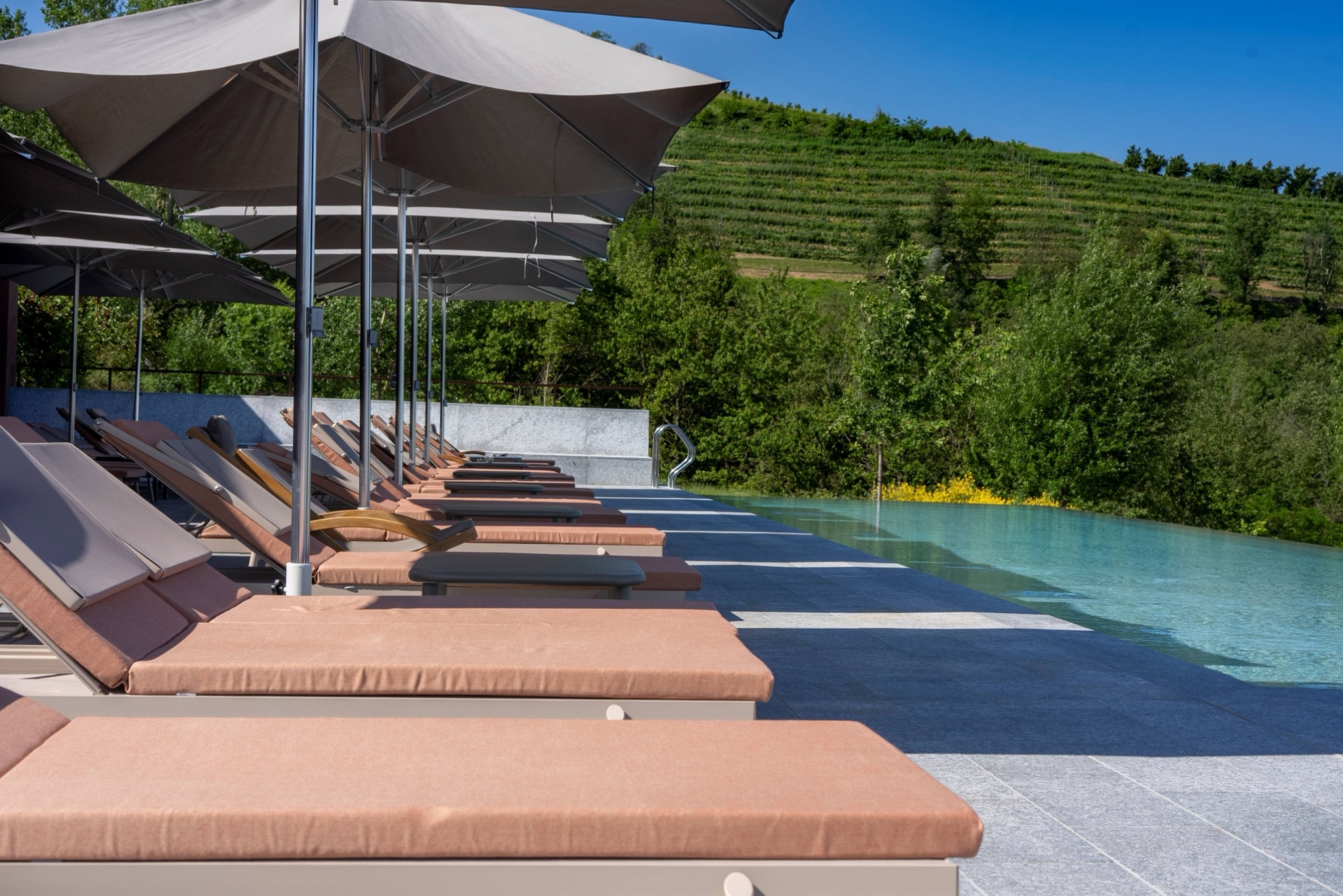 Loungers along the infinity pool, facing a hillside of vineyards