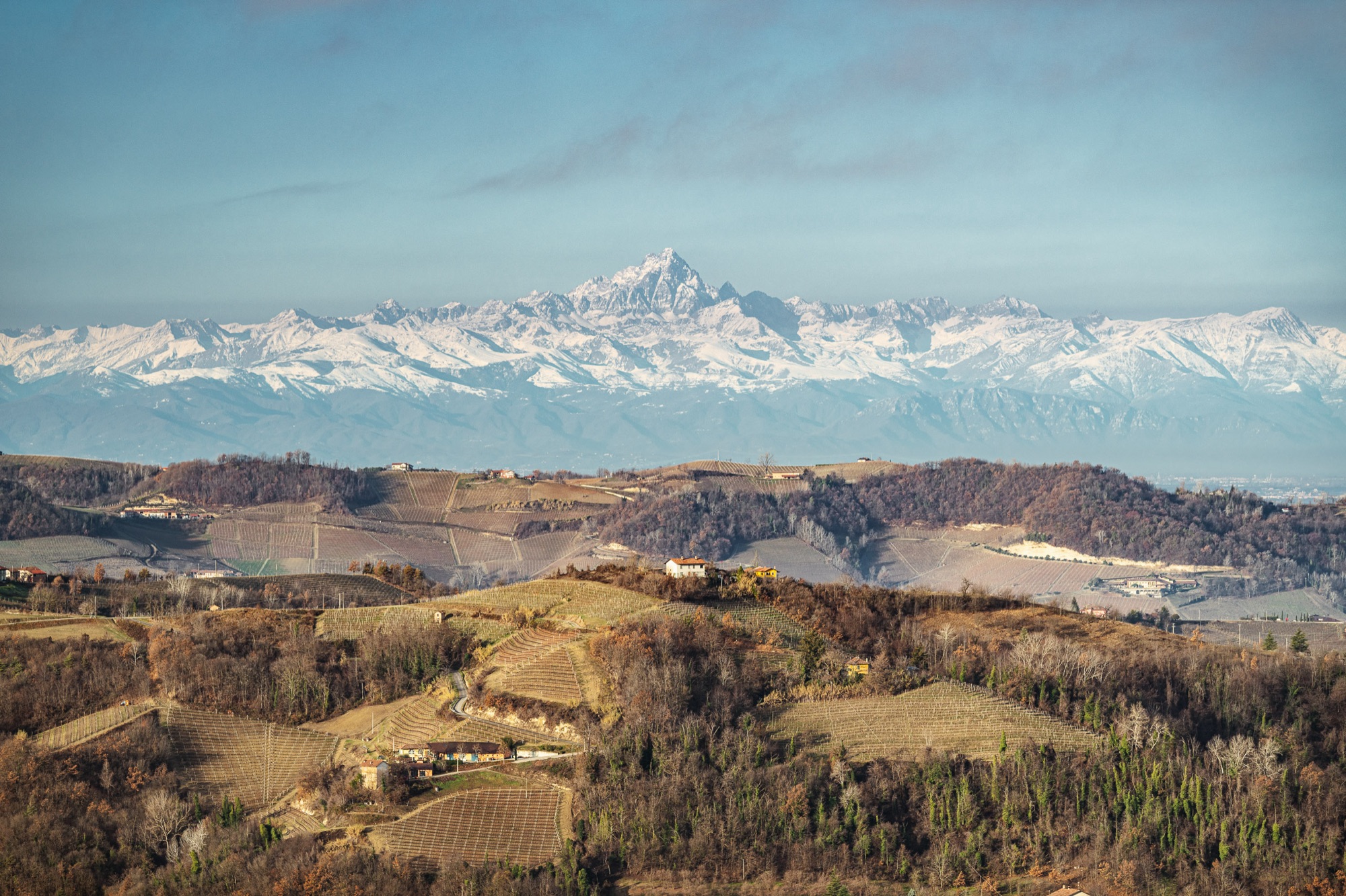Snow-capped Monviso rising above the hills of the Langhe