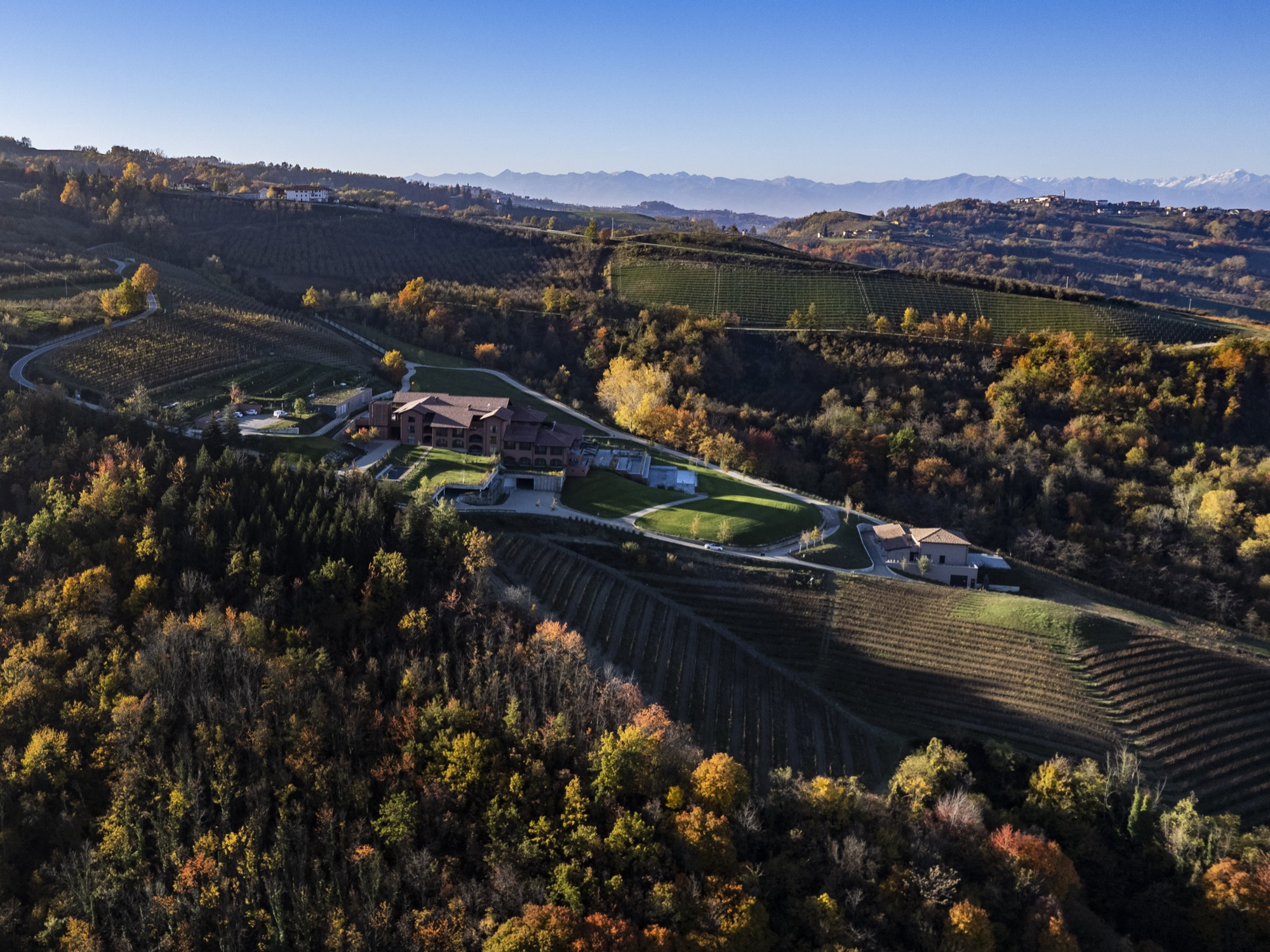 Aerial view of the Langhe hills in autumn, vineyards and woods, with the Alps on the horizon