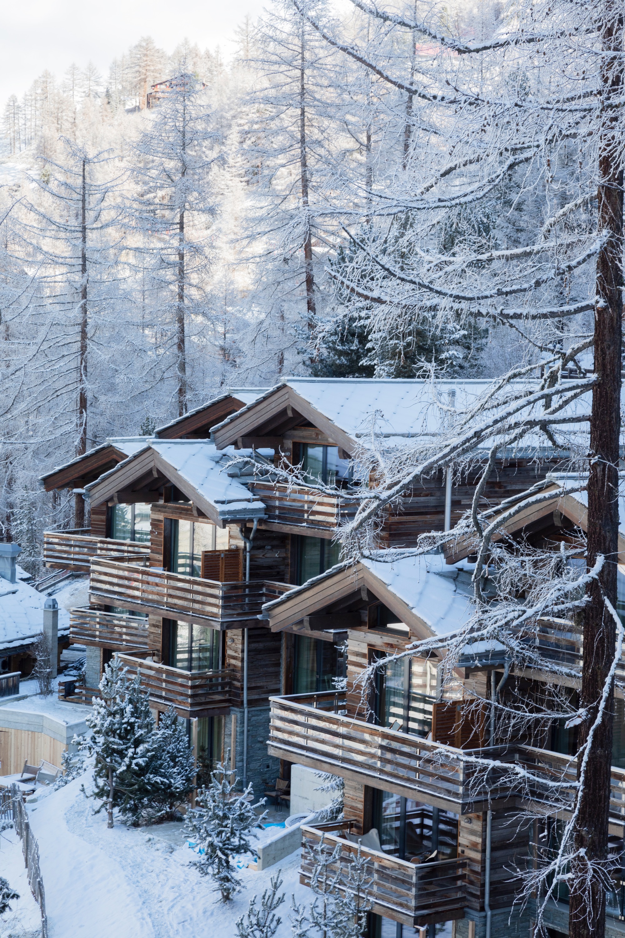 Chalets under snow among the trees