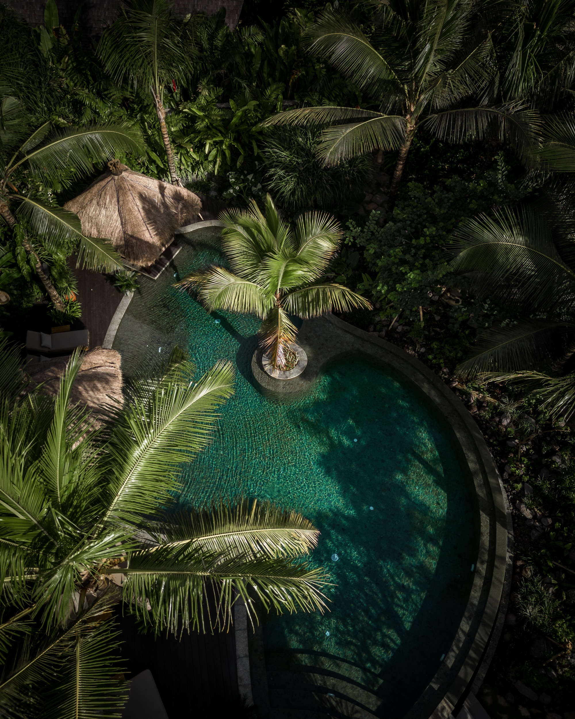 Curved swimming pool framed by palms and dense tropical planting, seen from above